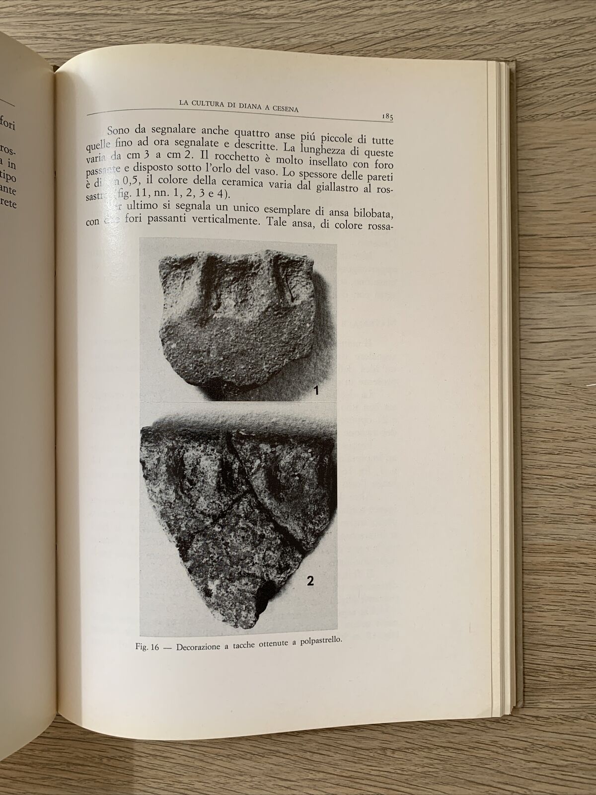 STUDI ROMAGNOLI XXII 1971, SOCIETÀ DI STUDI ROMAGNOLI, FRATELLI LEGA EDITORI #