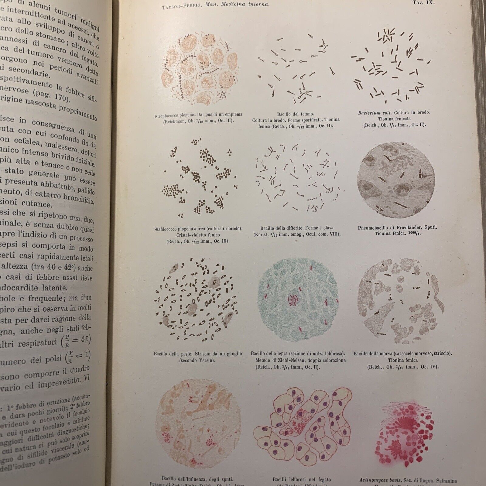 MANUALE PRATICO MEDICINA INTERNA - FEDERICO TAYLOR. UTET 1911. 2 VOLUMI #