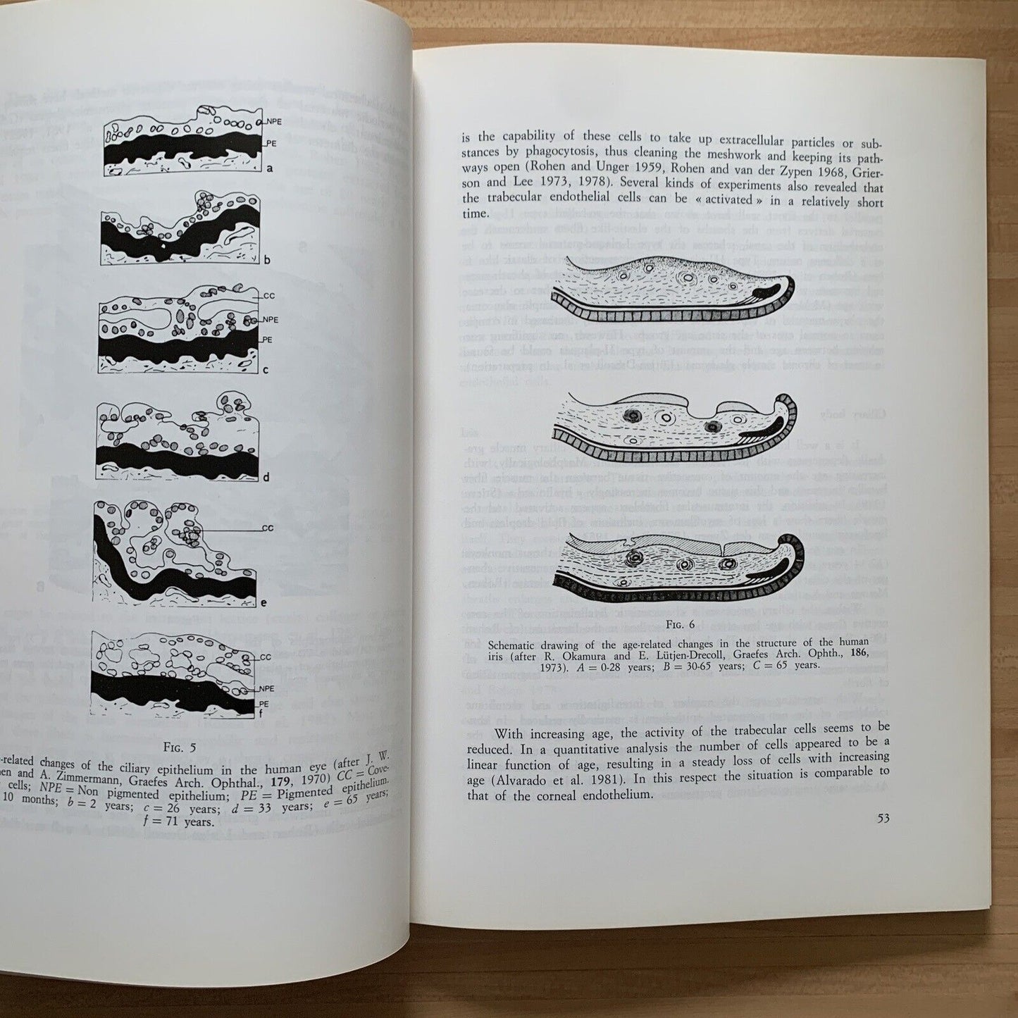 The fundamental aging processes of the eye - Giorgio ronchi 1987. Baccini e Chia