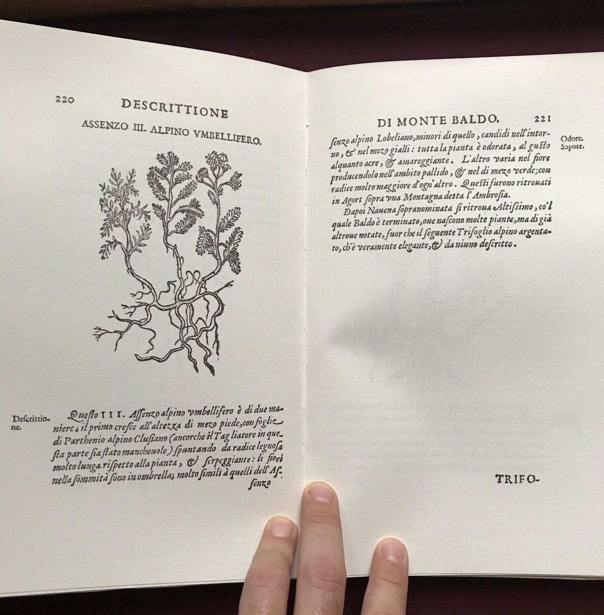 MONTE BALDO, Giovanni Pona. Botanica-Piante rare, facsimile 1972 dell'ed. 1617
