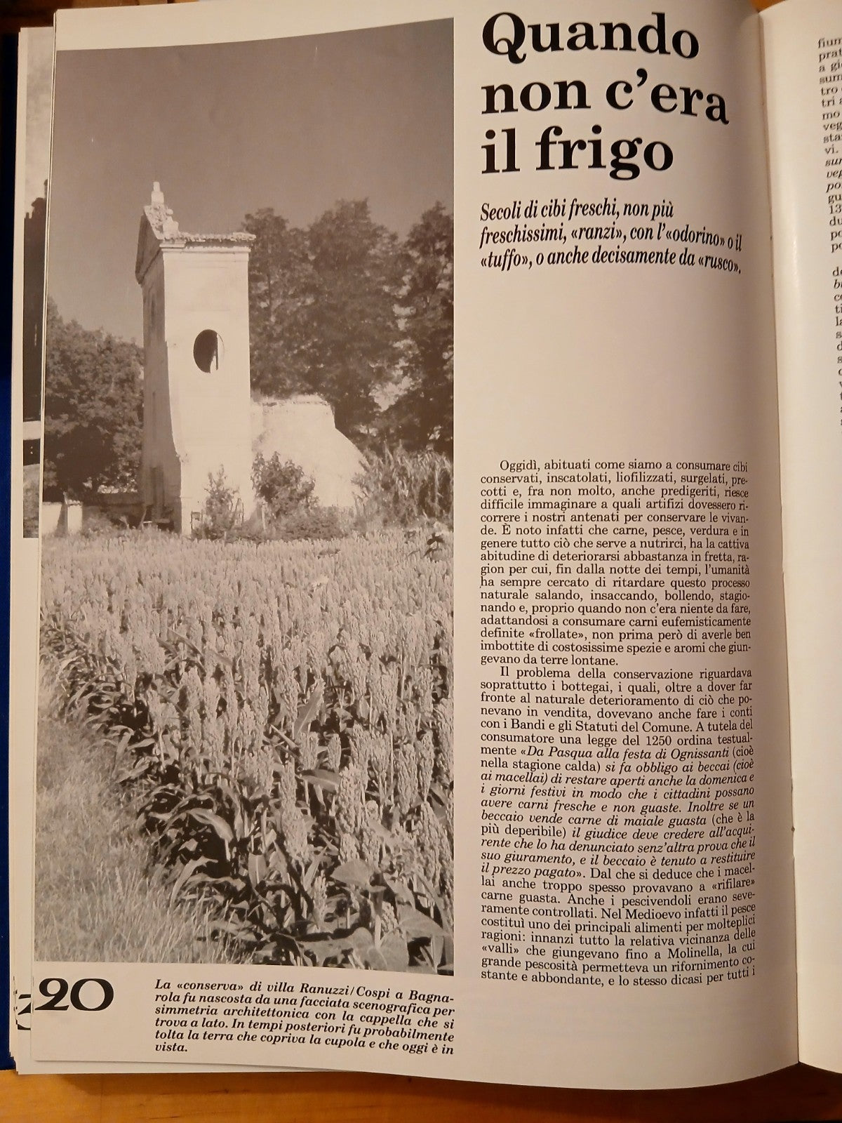 C'era Bologna rivista - 11 numeri rilegati a libro in tela. 1985 - 1988