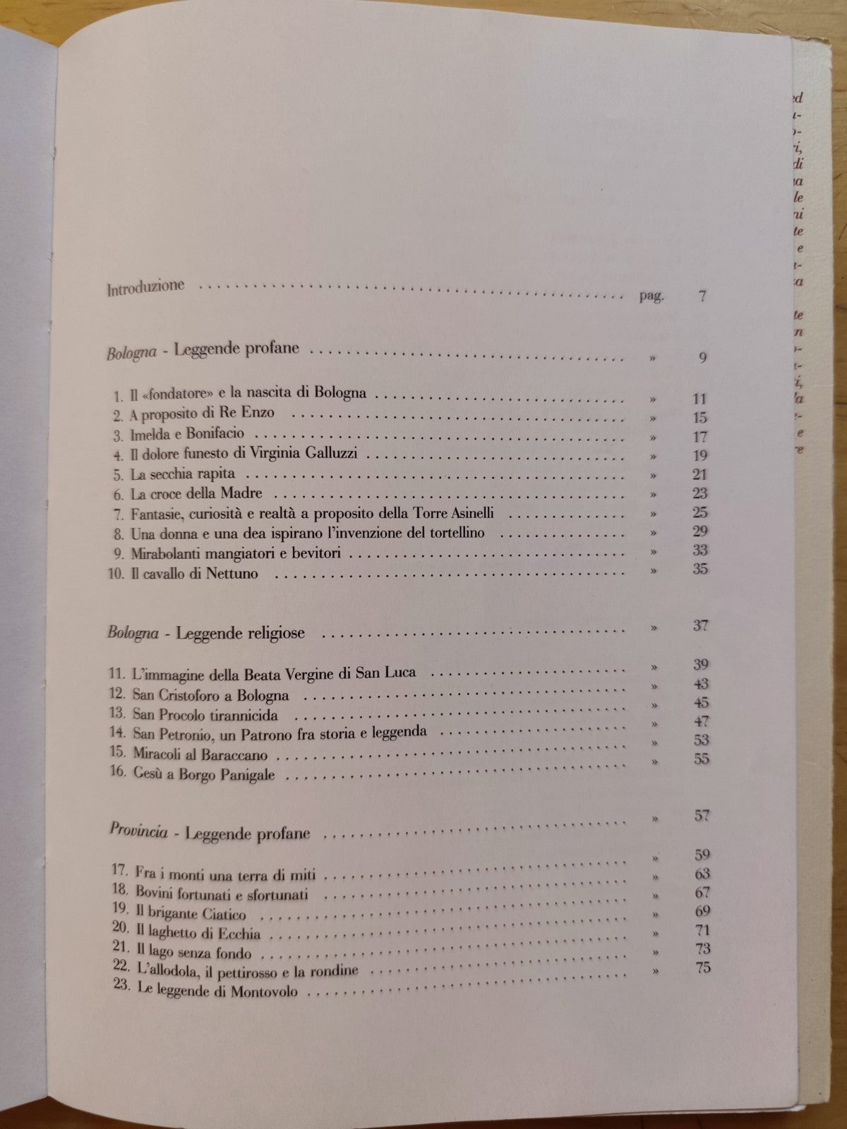 Leggende Bolognesi - Athos Vianelli, Dalla Volpe 1991