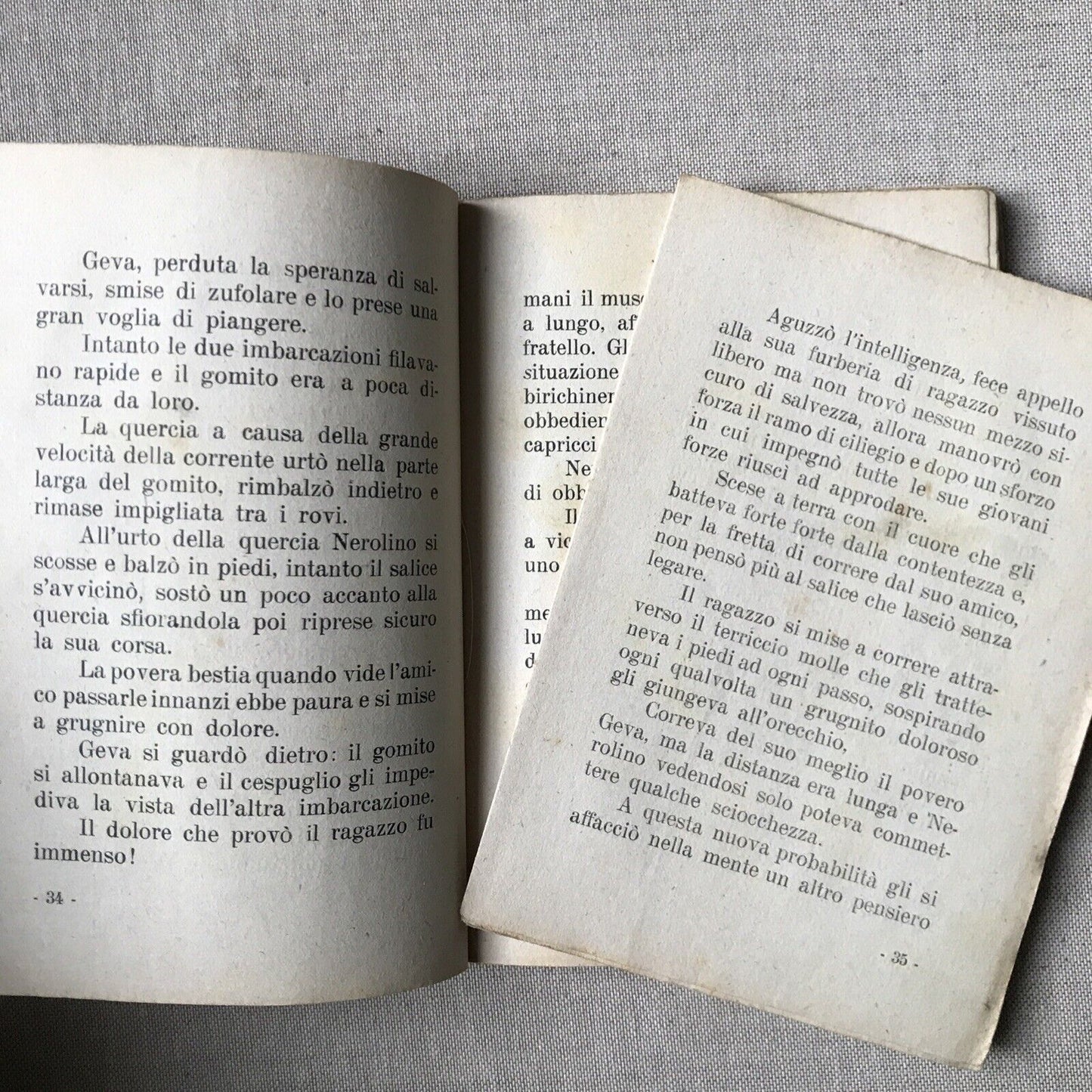 Geva e Nerolino - Romanzo per fanciulli. Egle Grimozzi, editoriale Biagini 1923