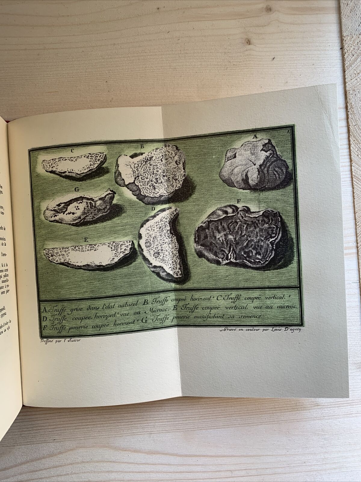 LETTRES SUR LES TRUFFES DU PIÉMONT Le Comte De Borch en 1780 - RISTAMPA 1974