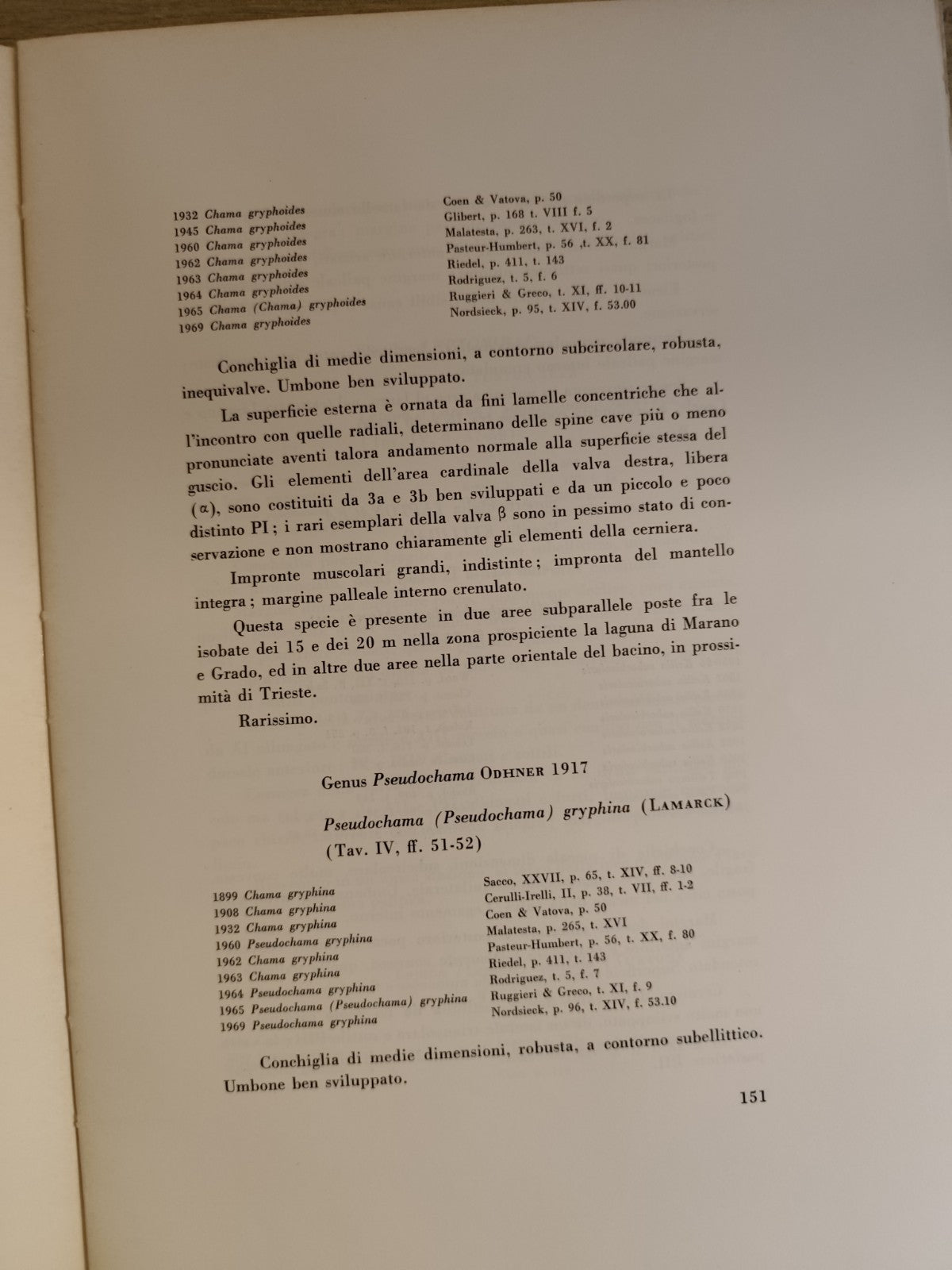 Lamellibranchi recenti Adriatico settentrionale Venezia Trieste - Stolfa Zucchi