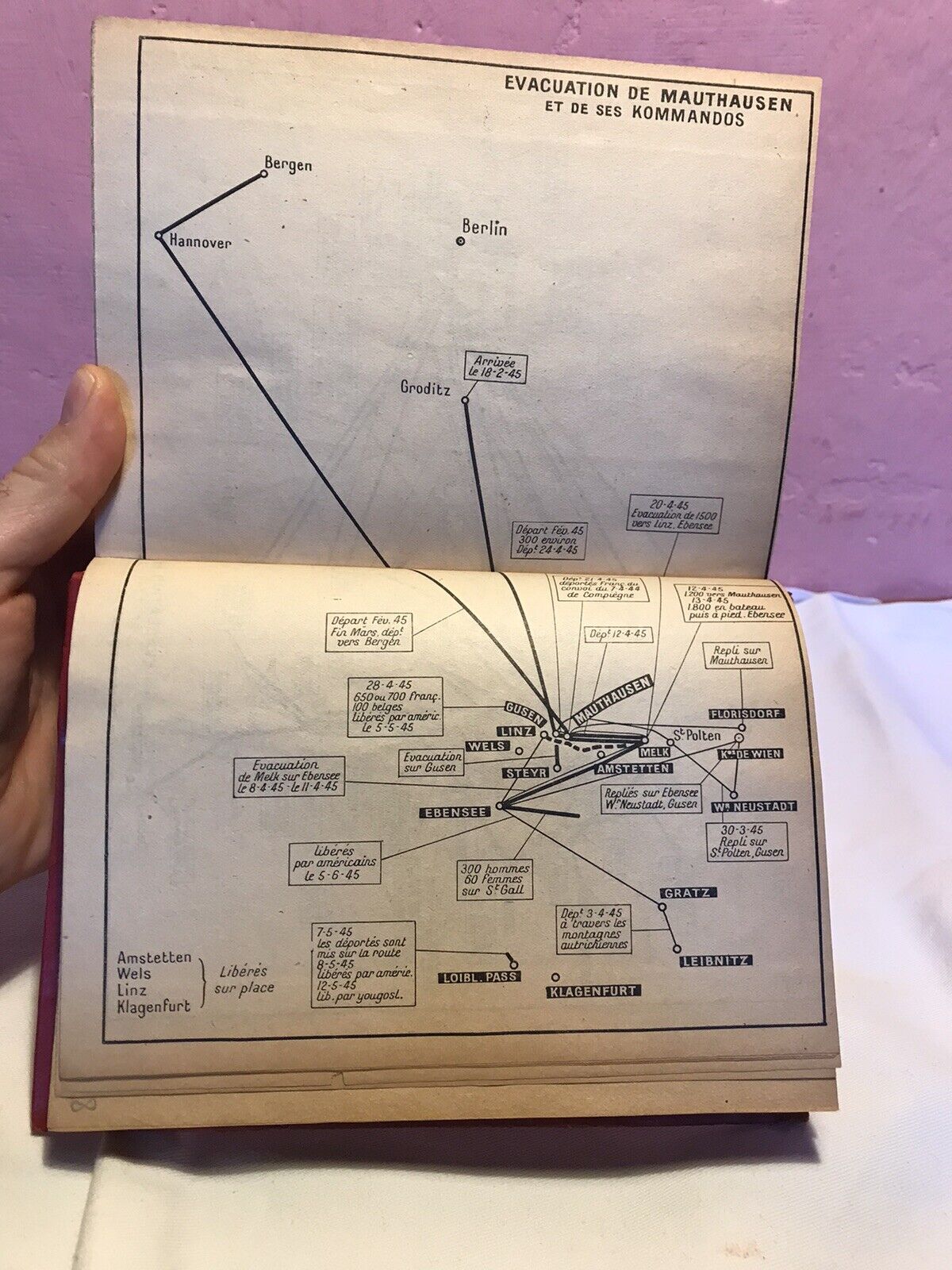Les Jours De Notre Mort, David Rousset, Editions De Pavois Paris 1947