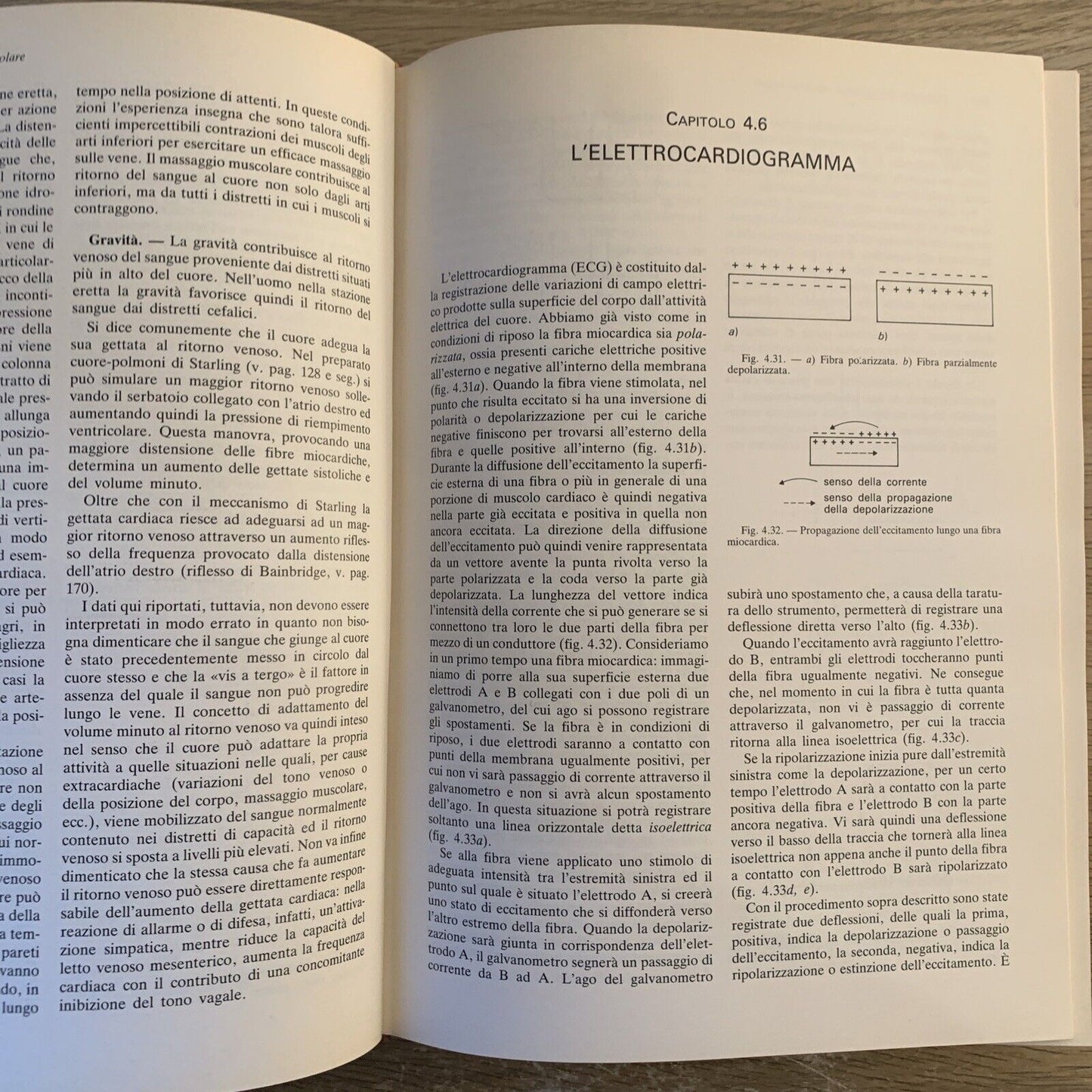 ELEMENTI DI FISIOLOGIA DELL'UOMO - UTET. Fabio Francini, Losano G. UTET 1985