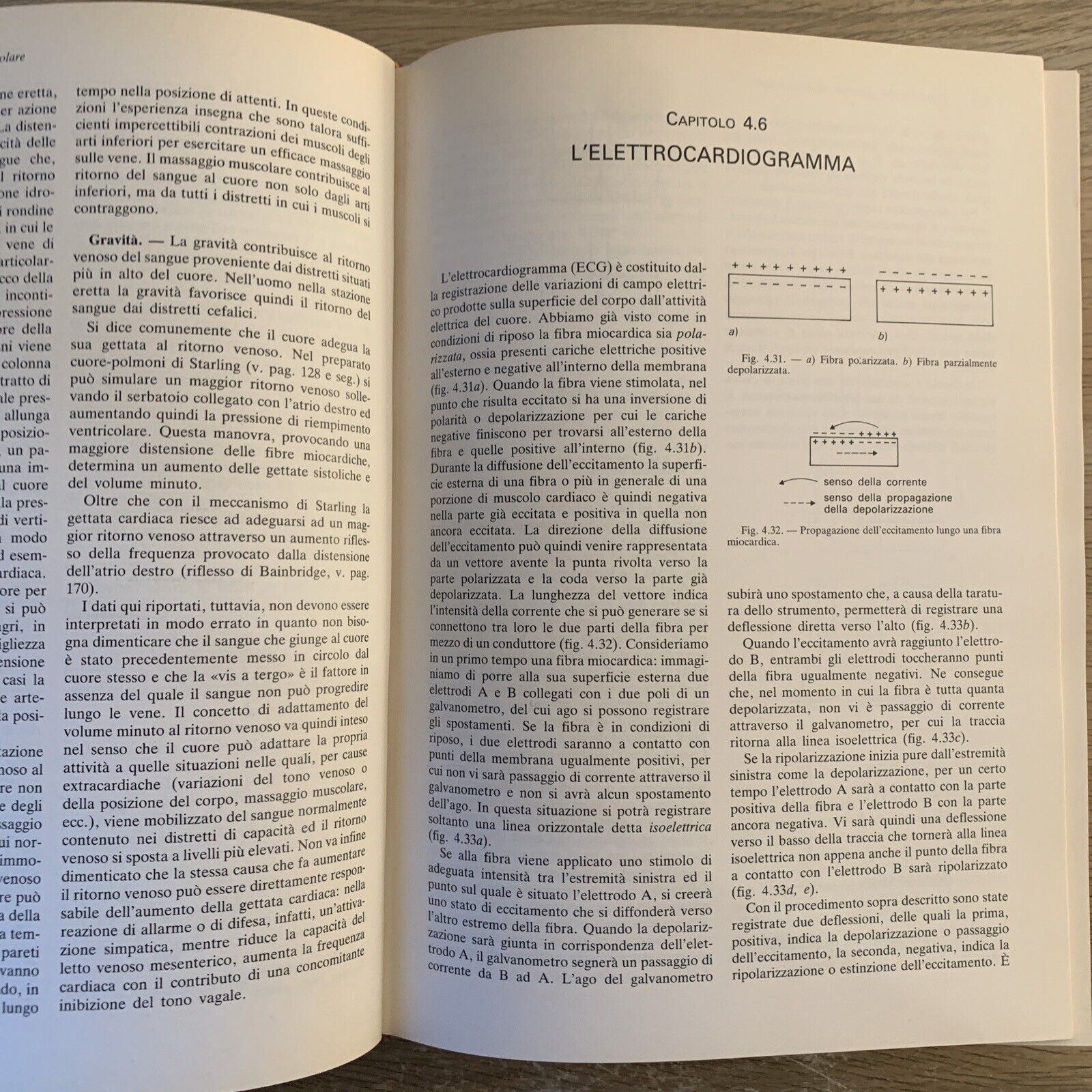 ELEMENTI DI FISIOLOGIA DELL'UOMO - UTET. Fabio Francini, Losano G. UTET 1985