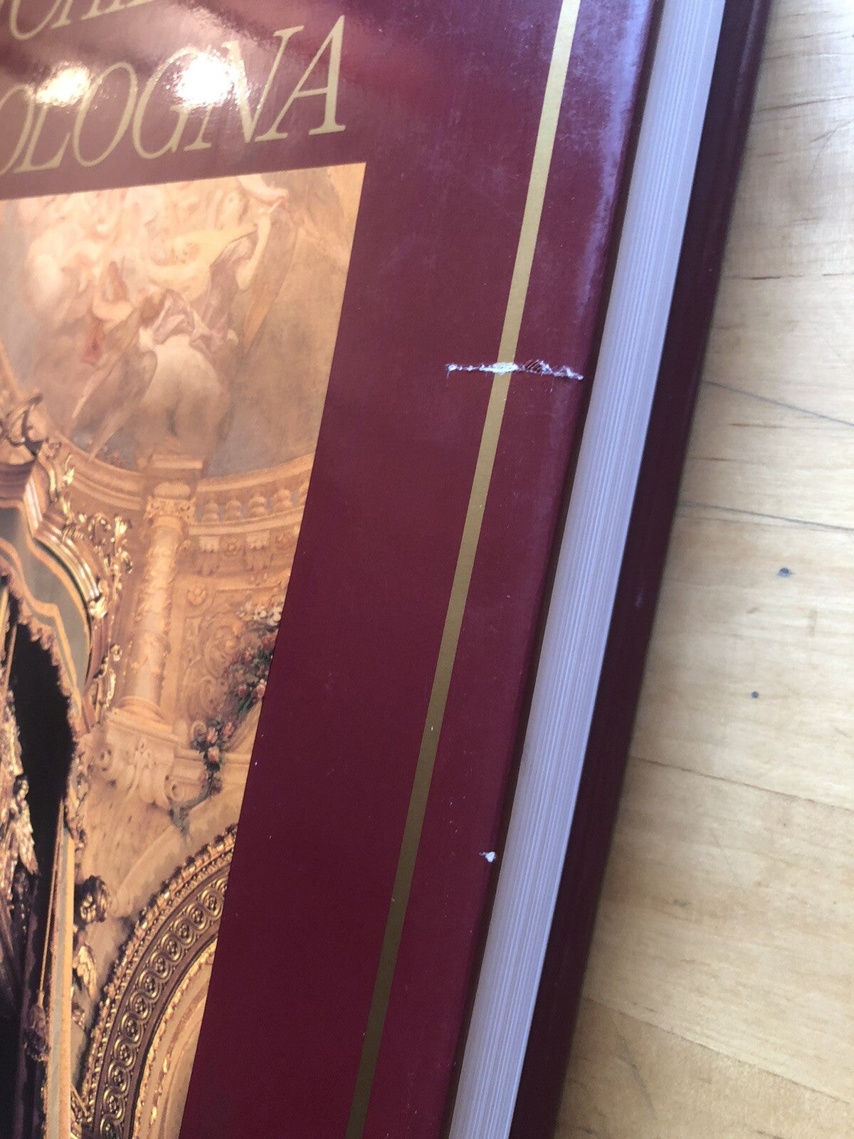 Le chiese di Bologna, L'inchiostroblu, Mario Fanti, Riccomini 1992