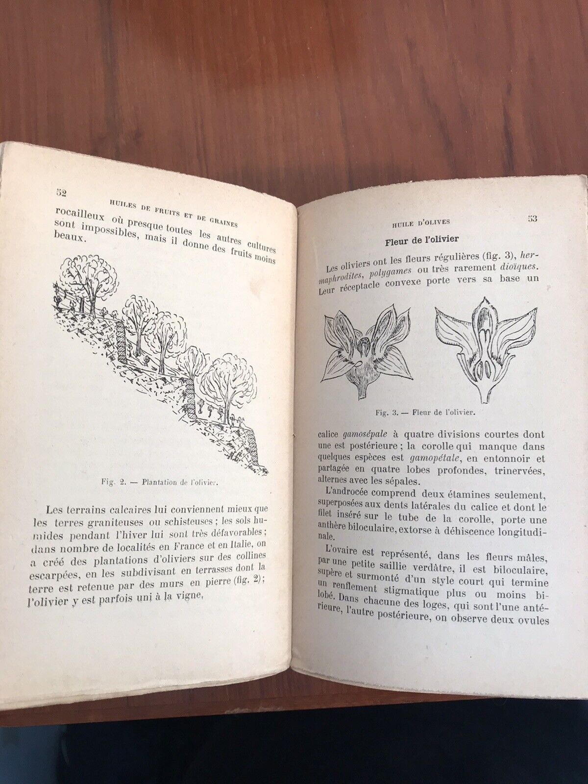Fabricant et épurateur d' huiles.Encyclopédie roret 2 volumi L. Mulo libraire ed
