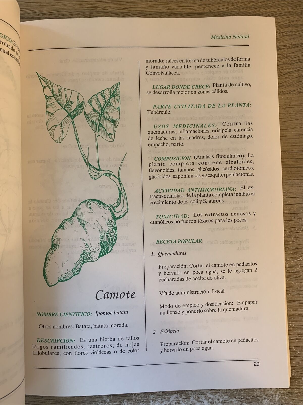 Plantas de uso Medicinal en centro America. Piante medicinali de centro America