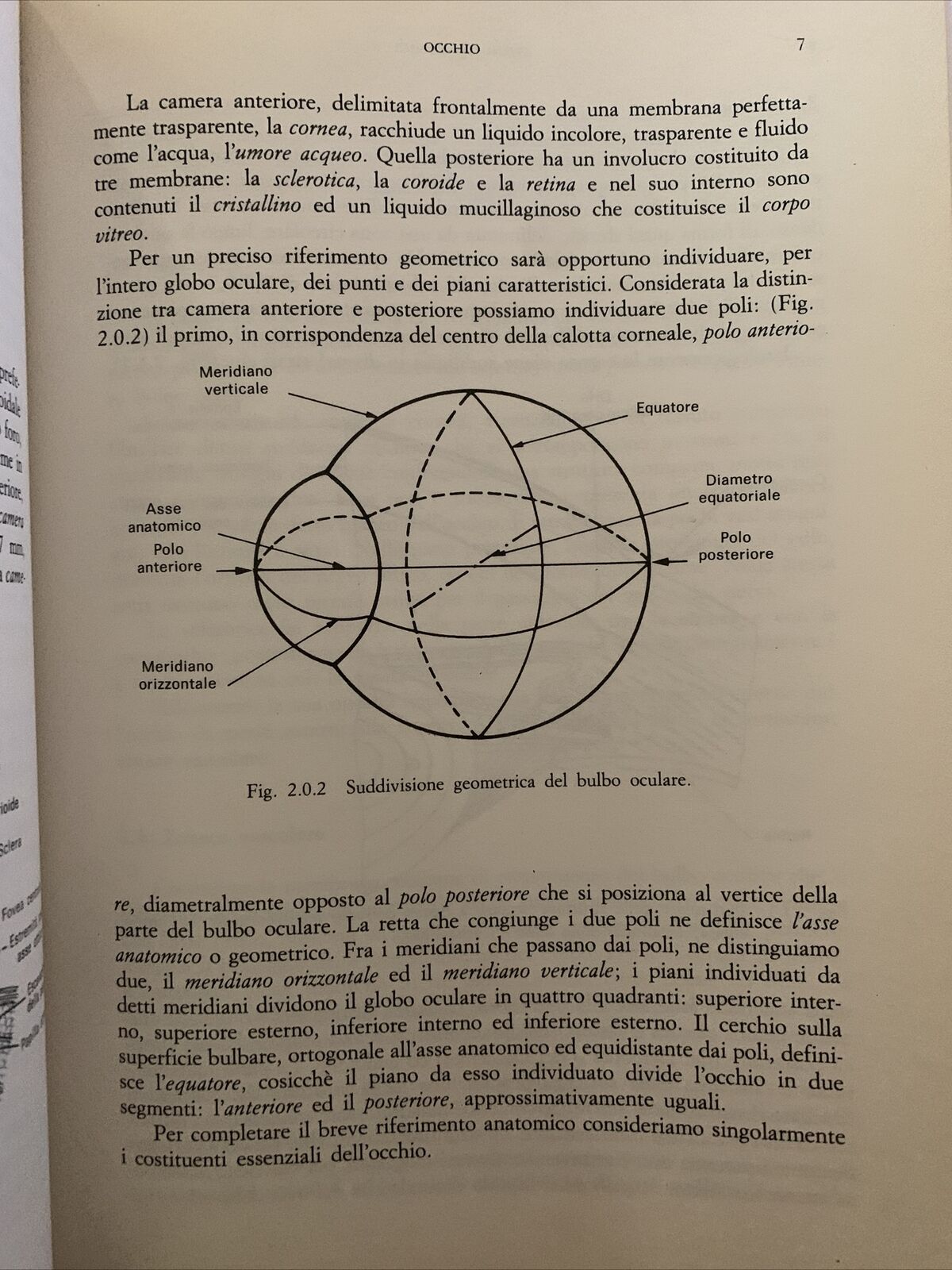 NOZIONI DI FISICA E BIOFISICA DELLA VISIONE. E. Giannazzo, Piccin editore 1987 #