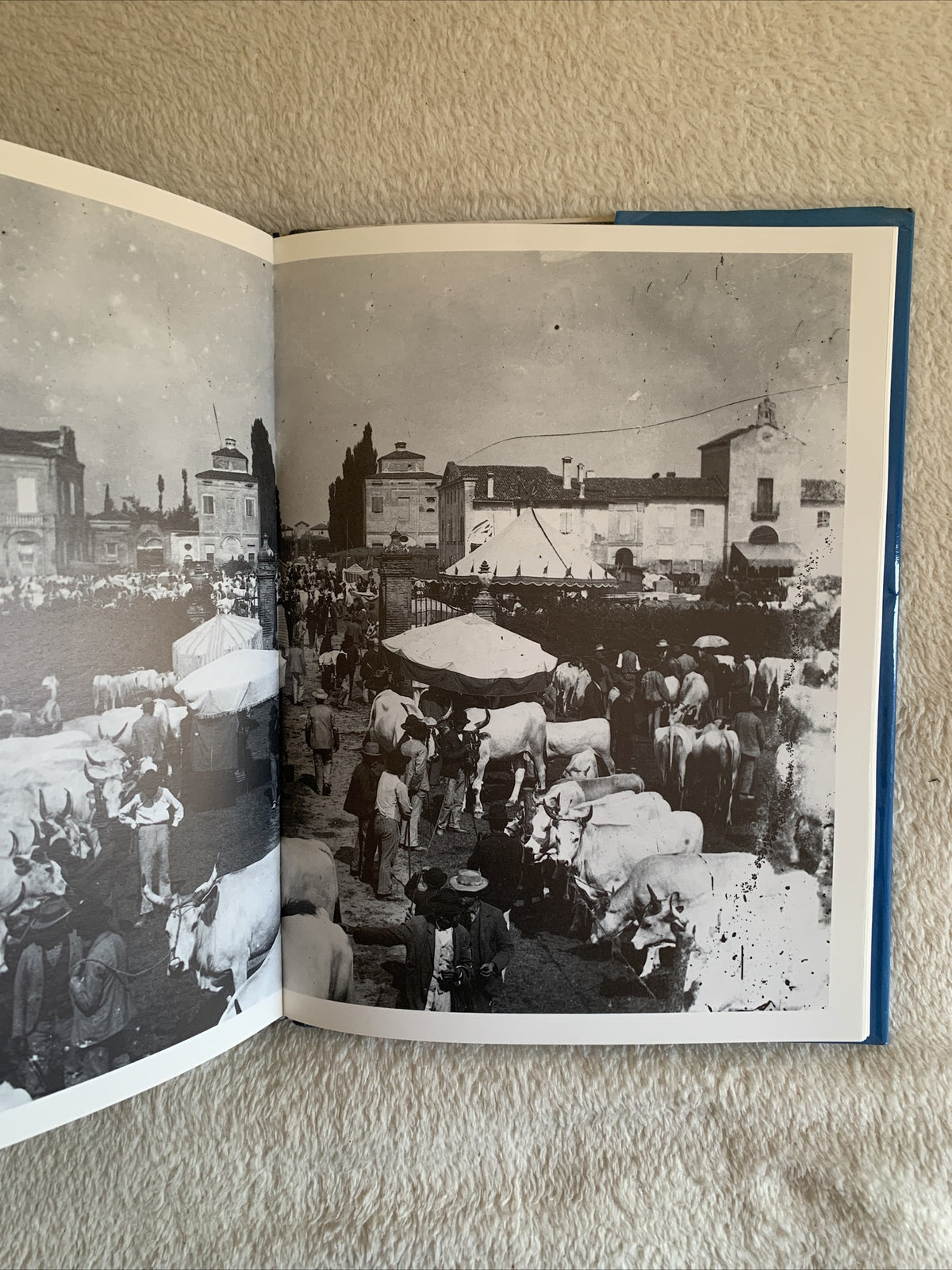 Le fotografie Bologna Emilia Romagna. Poppi Pietro, Romagnoli Arnaldo 2 voll.