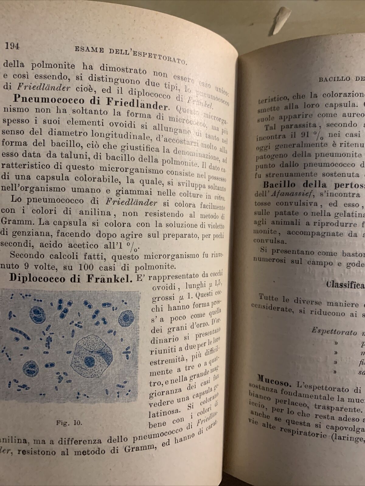 MANUALE DI CLINICA MEDICA PROPEDEUTICA (SEMEIOTICA) Adolfo Biondi, Vallardi 1903