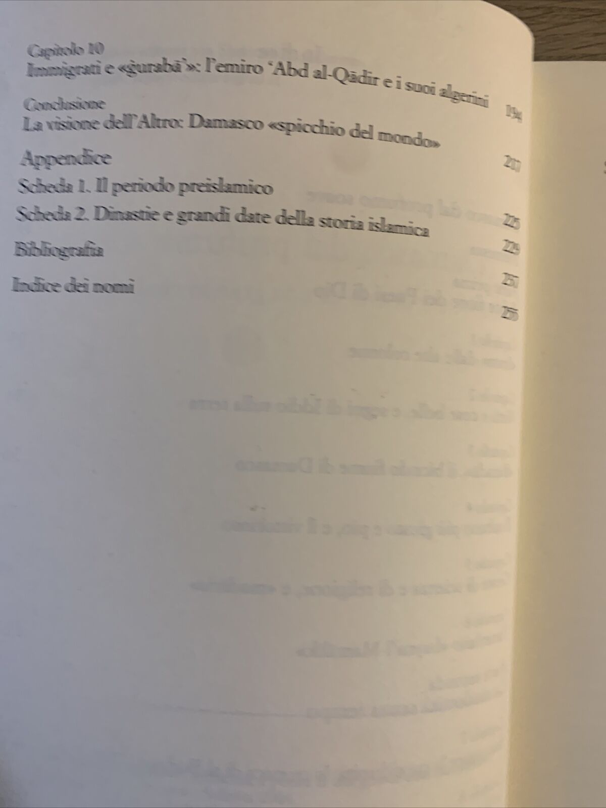 DAMASCO dal profumo soave. Antonino Pellitteri. Sellerio editore Palermo 2004