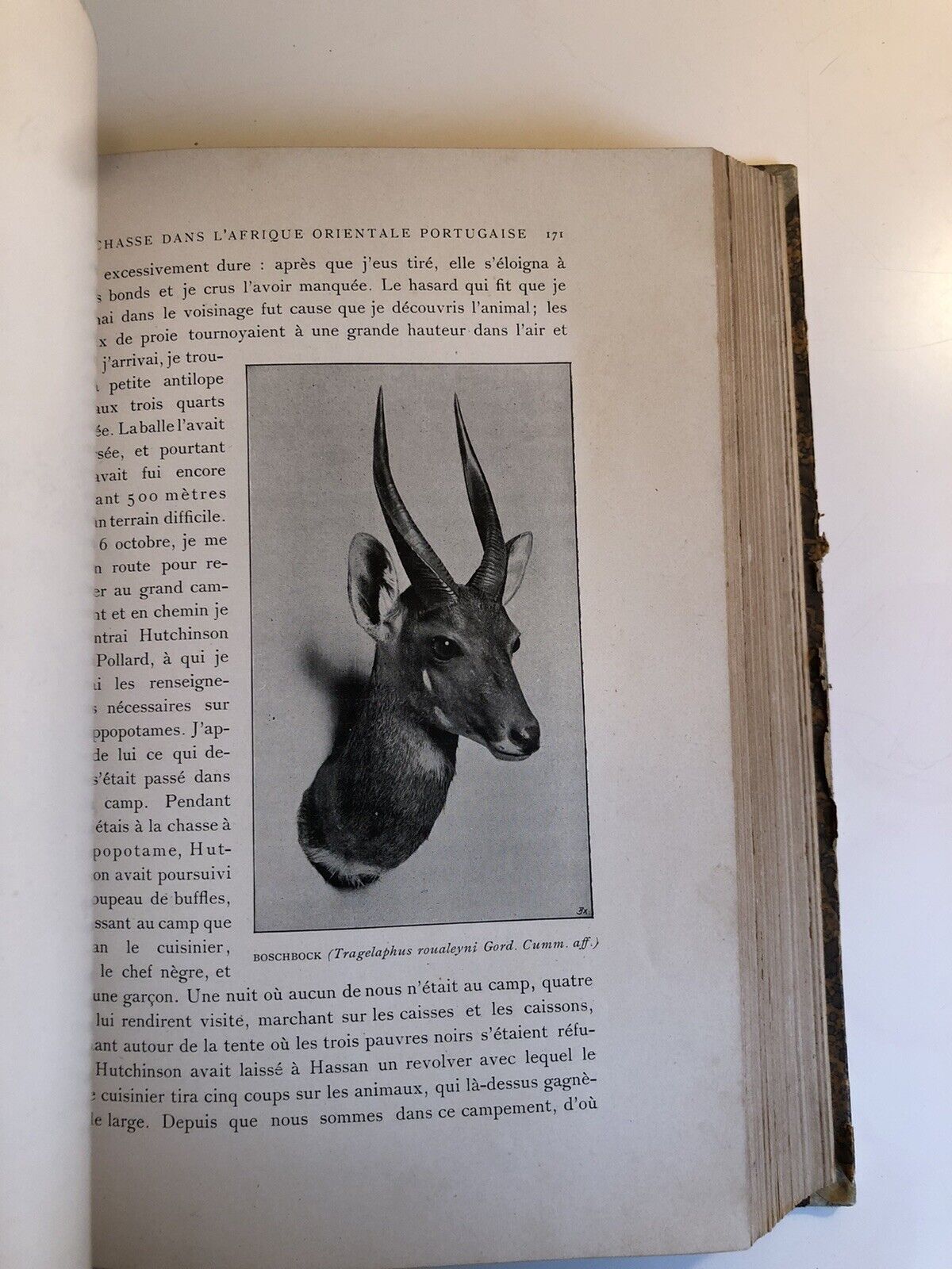 Mes Chasses dans le cinq parties du Monde - Paul Niedieck, Plon-Nourrit ed. 1907
