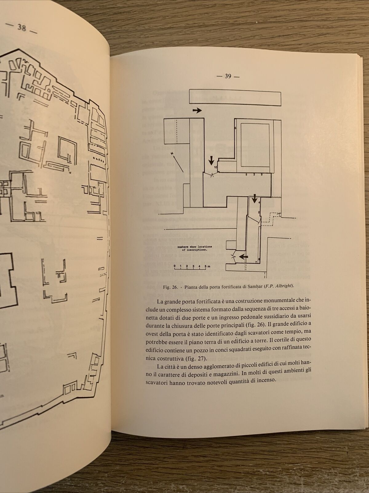 L'UOMO E L'AMBIENTE NELLA PENISOLA ARABA. PAOLO M. COSTA 1991 accademia Lincei