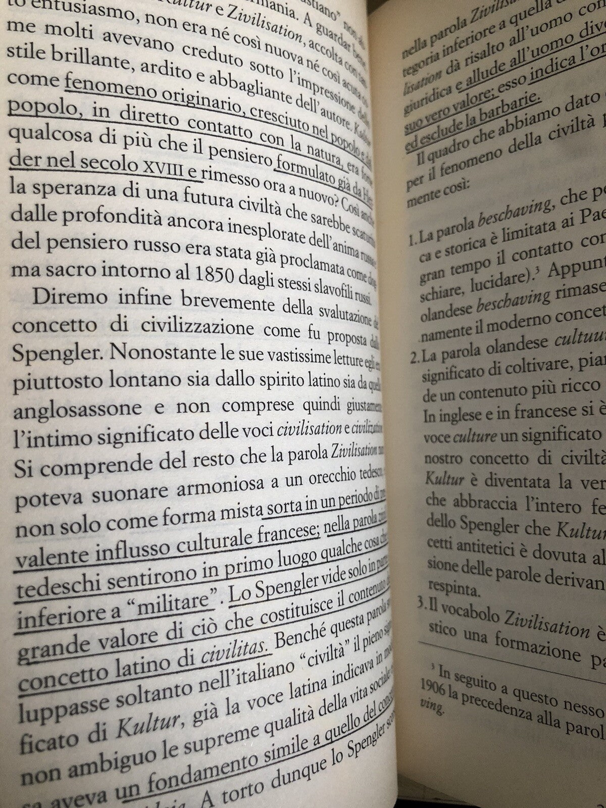 Lo scempio del mondo - Johan Huizinga. Mondadori 2004
