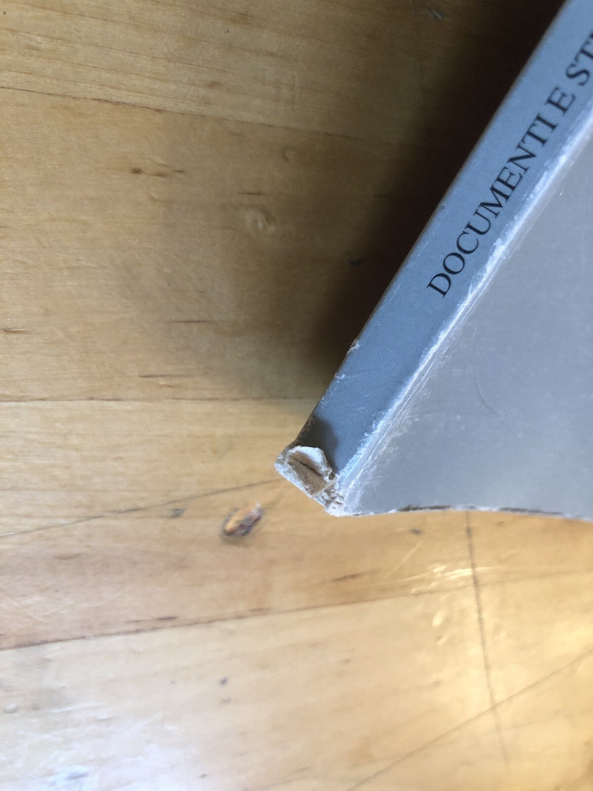 La rocca imperiale di Bologna, Jacopo Ortalli C. De Angelis, Istituto Castelli