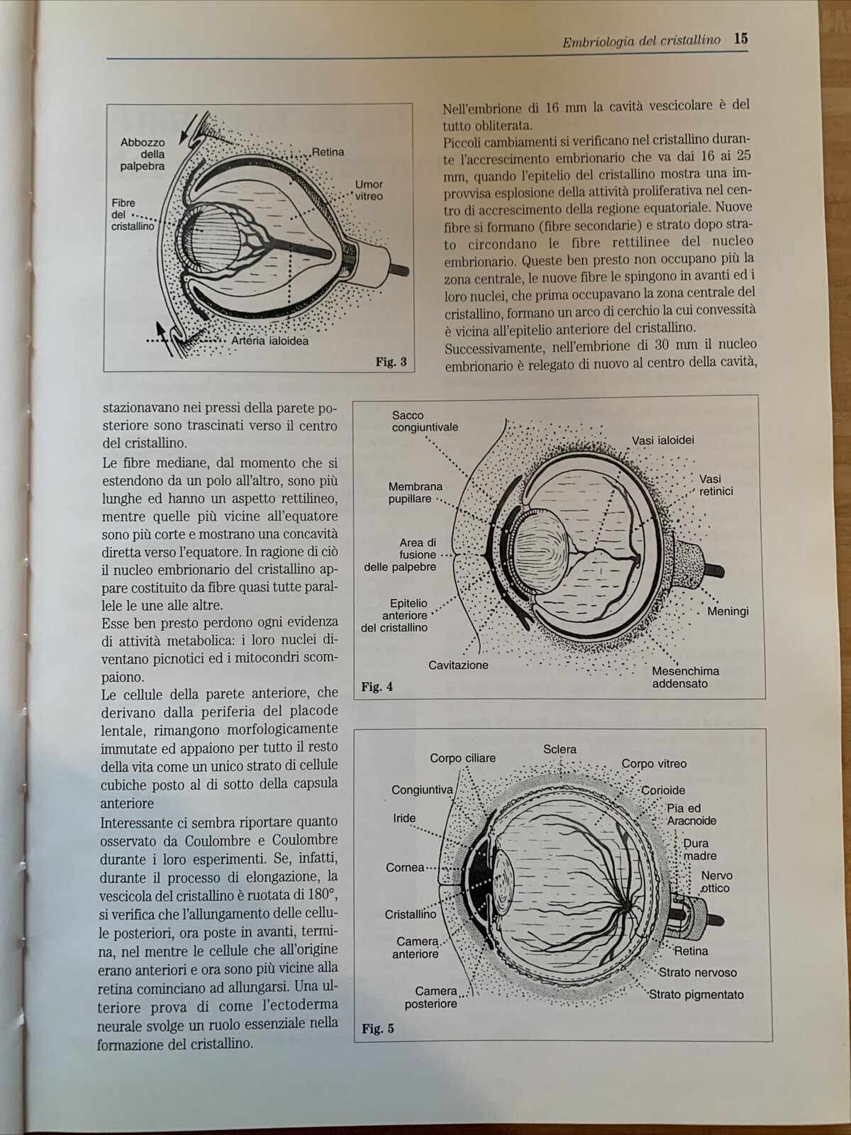 CATARATTA fisiopatologia del cristallino chirurgia della Cataratta.Fabiano 1999