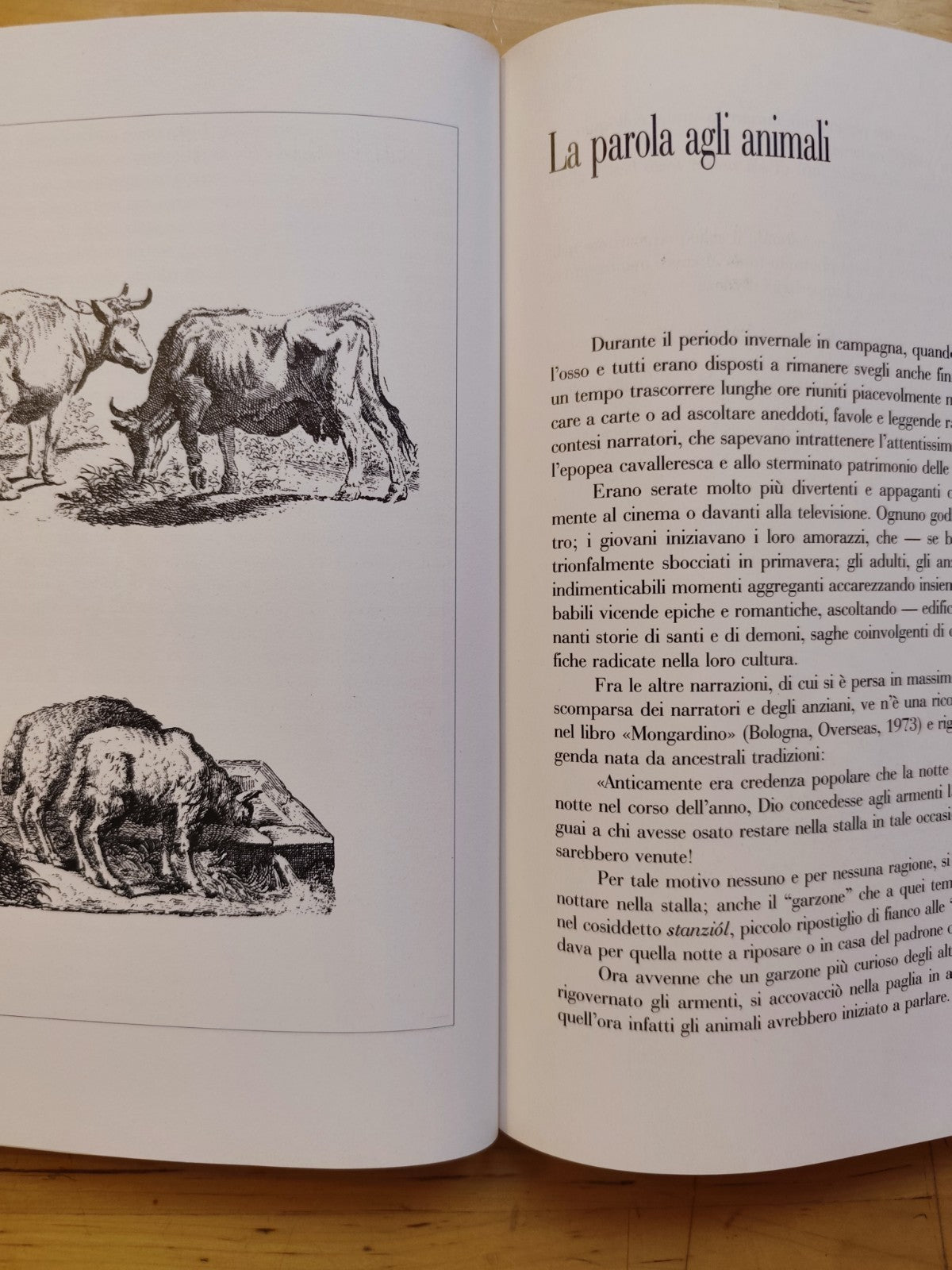 Leggende Bolognesi - Athos Vianelli, Dalla Volpe 1991