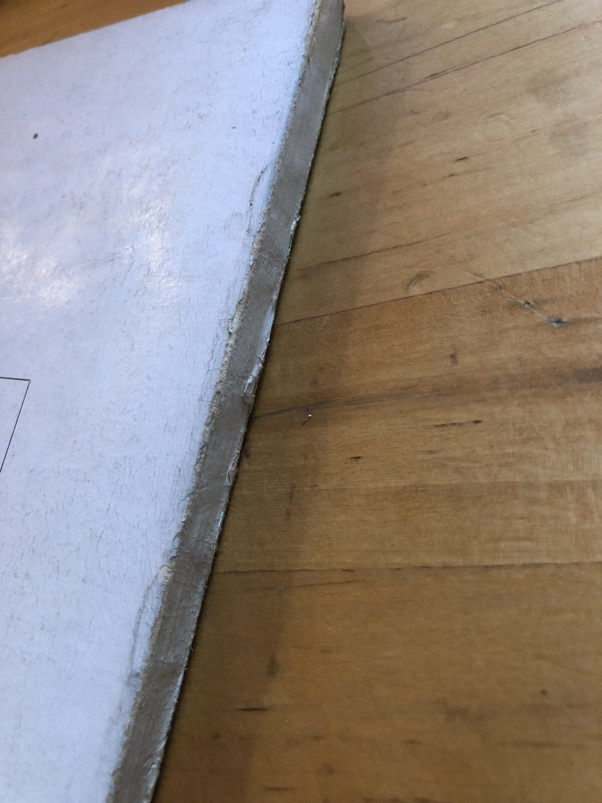 Le favole del 2000, Noè Croso 1957 (libri illustrati per ragazzi) *auografato*