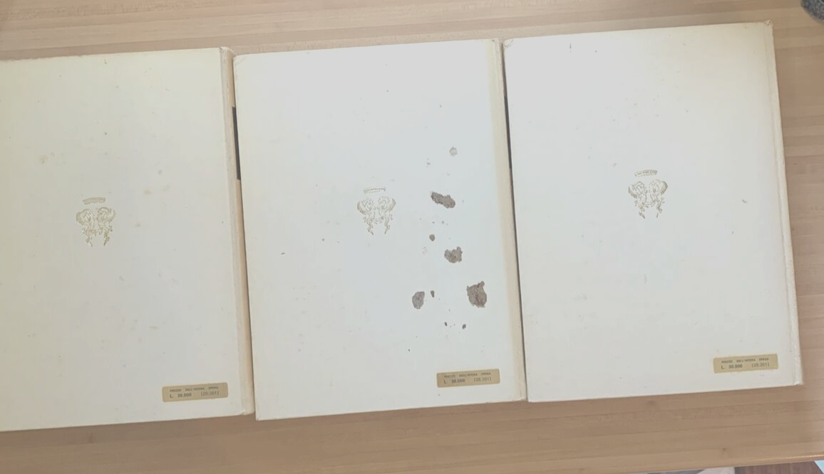 I GRANDI SANTI ITALIANI - MINO CAUDANA #