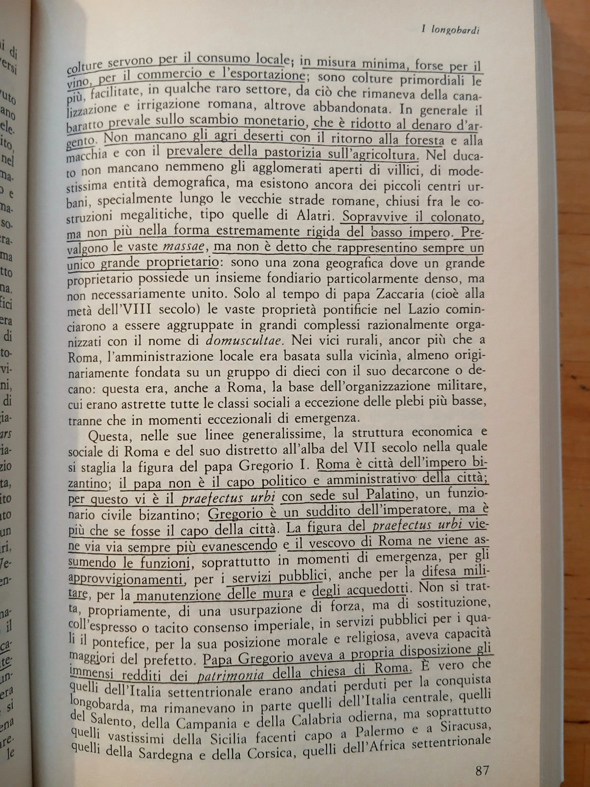 Storia della società Italiana - L'Italia nell'Alto Medioevo 5 -Teti Editore 1984