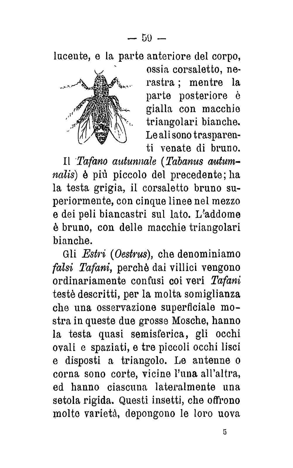 Nuova entomologia -La distruzione degli insetti nocivi 1896 -Rist 2025 A. Lavoit