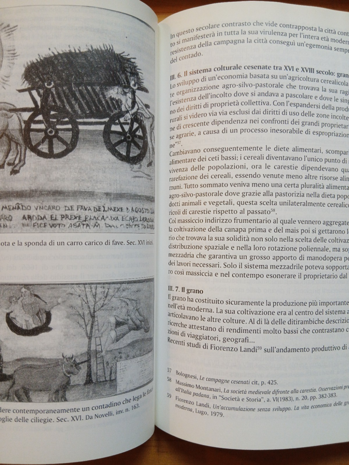 Museo dell'agricoltura, Cesena Musei - Pedrocco, Giorgini