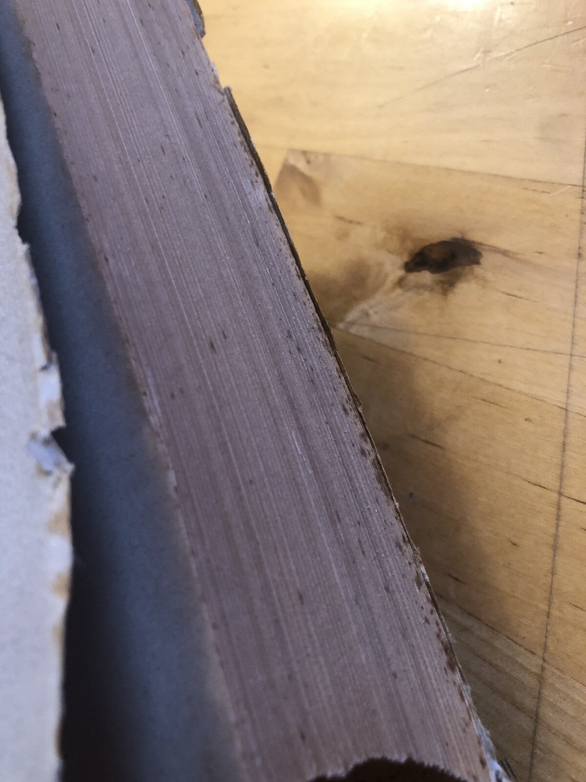 Storia delle fanterie Italiane, Edoardo Scala volume VIII Gli Alpini 1955