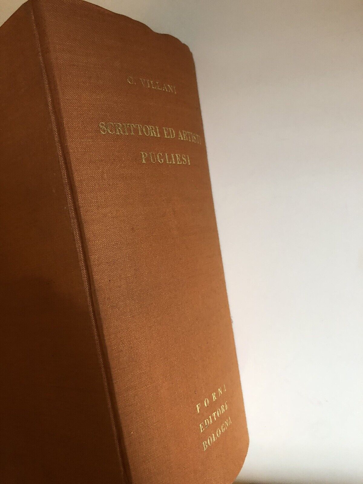 SCRITTORI ED ARTISTI PUGLIESI, CARLO VILLANI - ARNALDO FORNI EDITORE ristampa