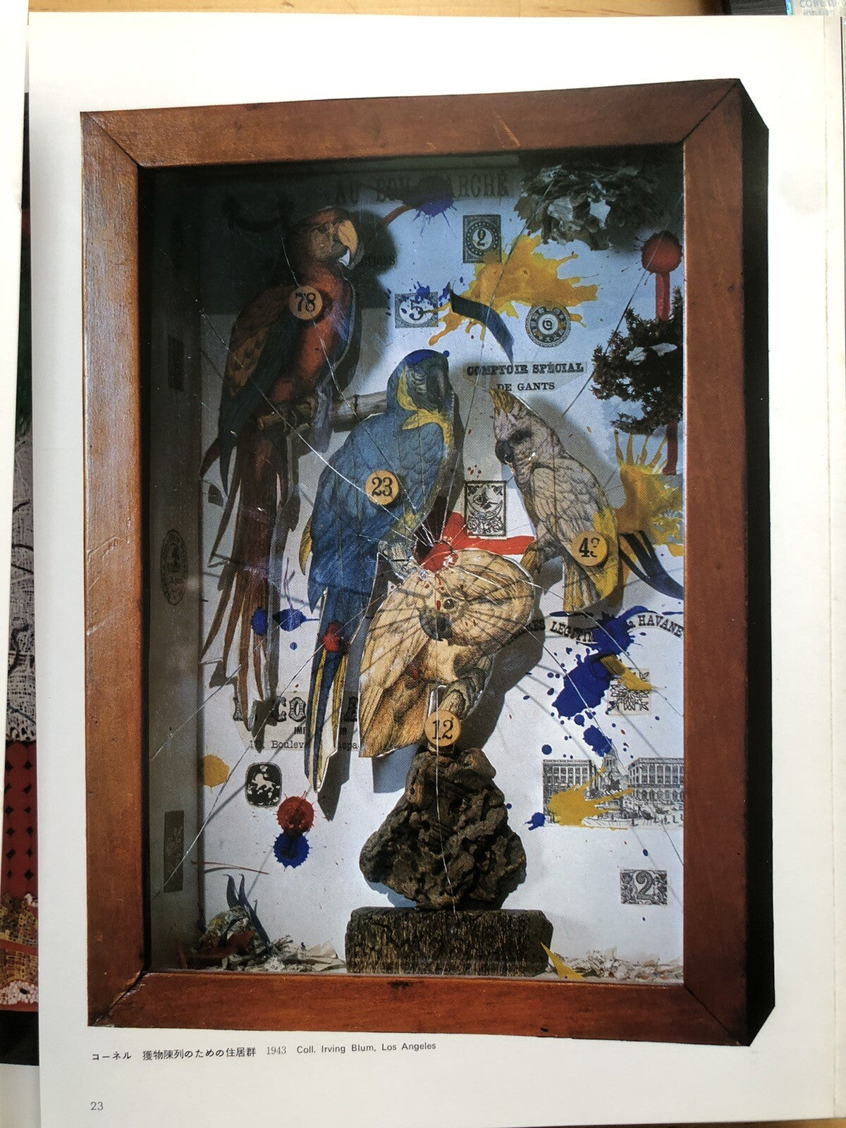 ASSEMBLAGE AND ACCUMULATION art now 7 Shuji Takashina. Kodansha ltd 1971