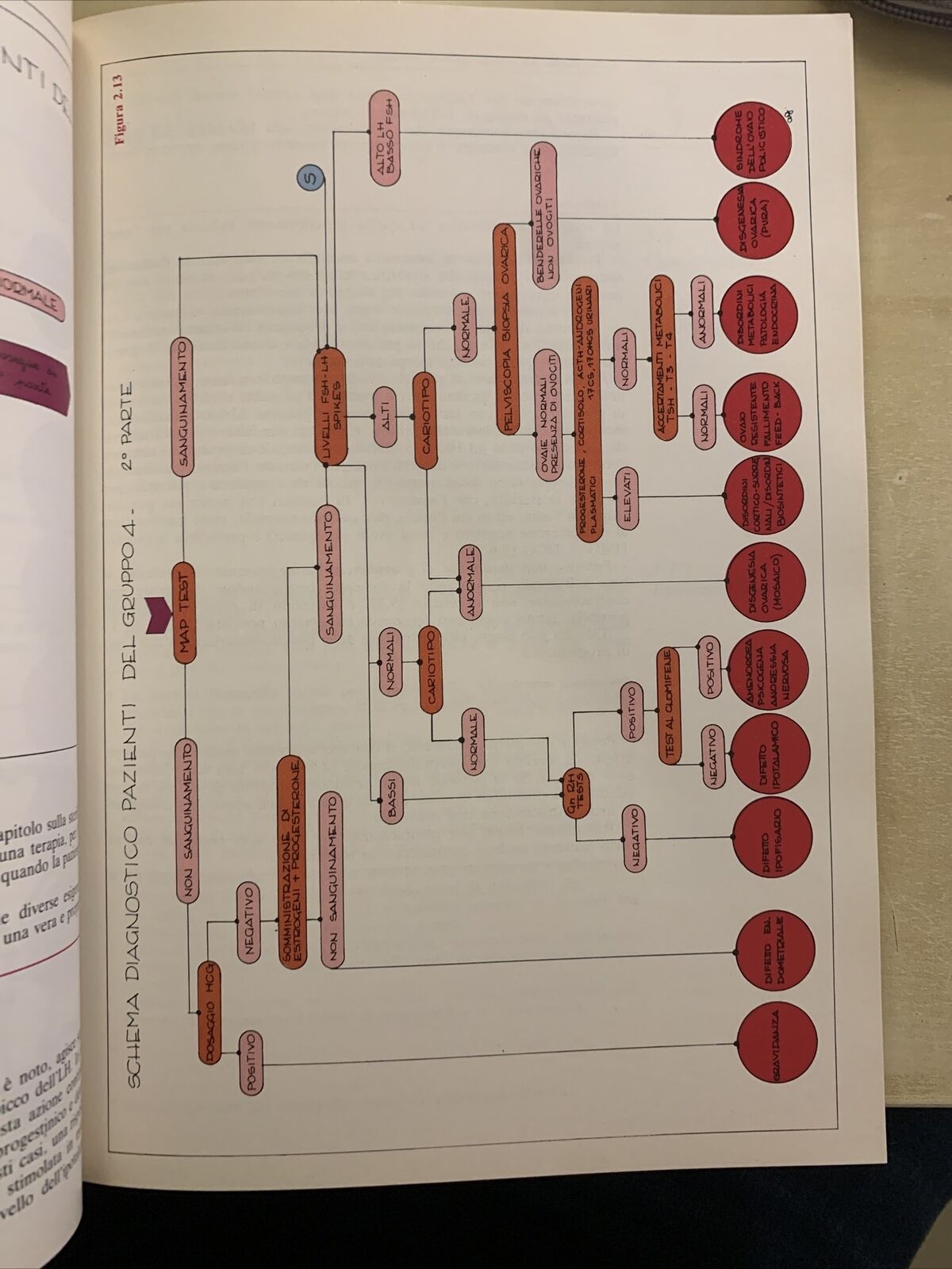 GINECOLOGIA OSTETRICIA terapia medica - Guerresi Gori, Editoriale Grasso 1982 #
