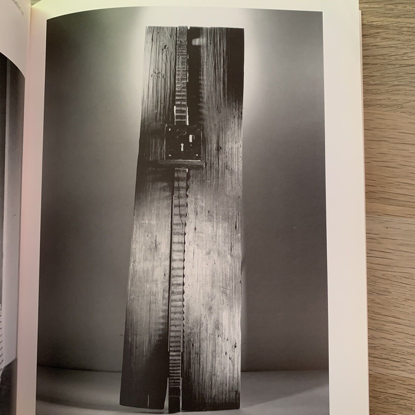 SCULTURA E SEGNO, Crippa, Ghinzani, Ghitti, Legnaghi, Benedetti. Charta 1995