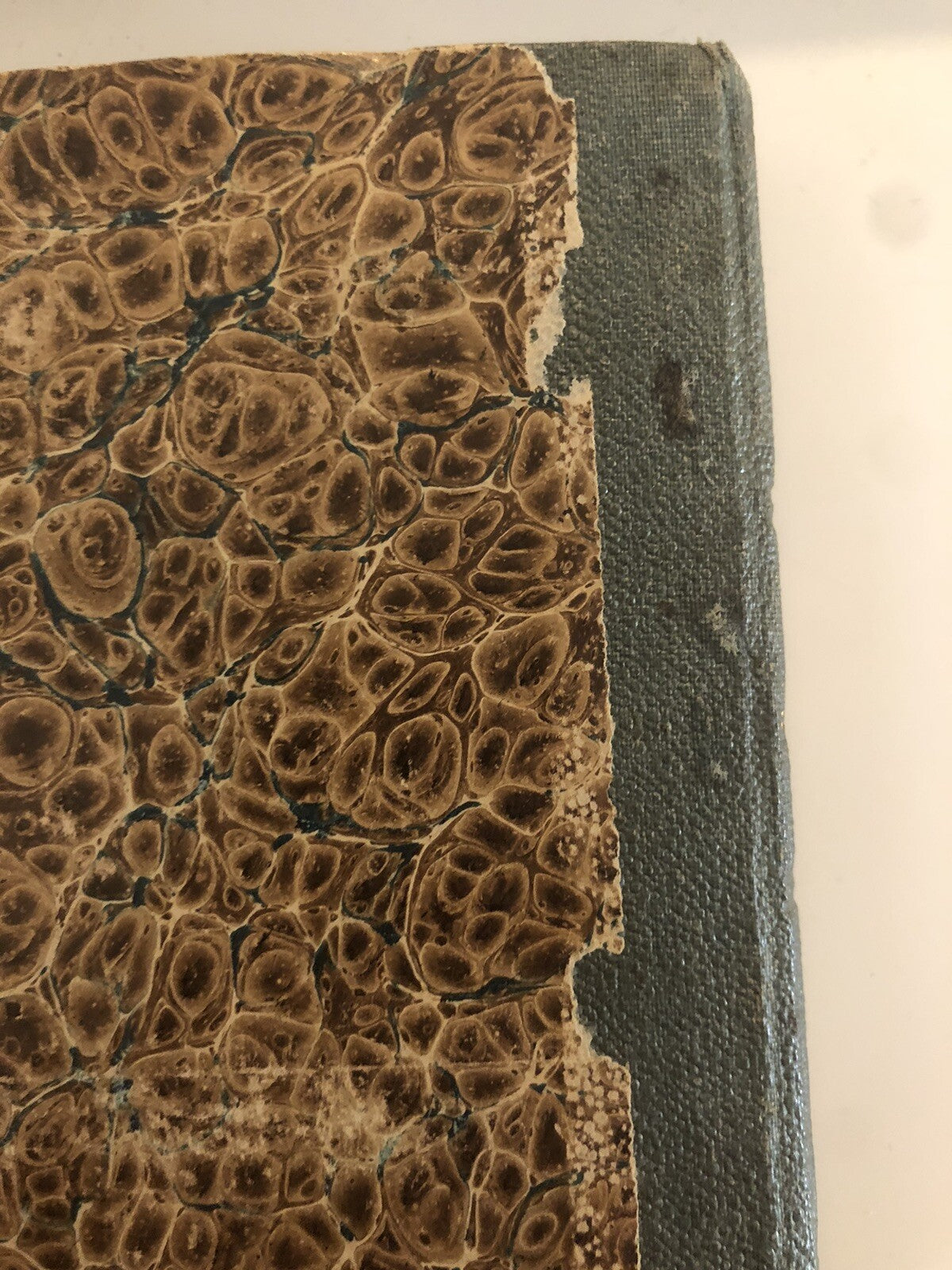 Storia fiorentina di Ricordano e Giacotto Malispini cronica fiorentina 1876