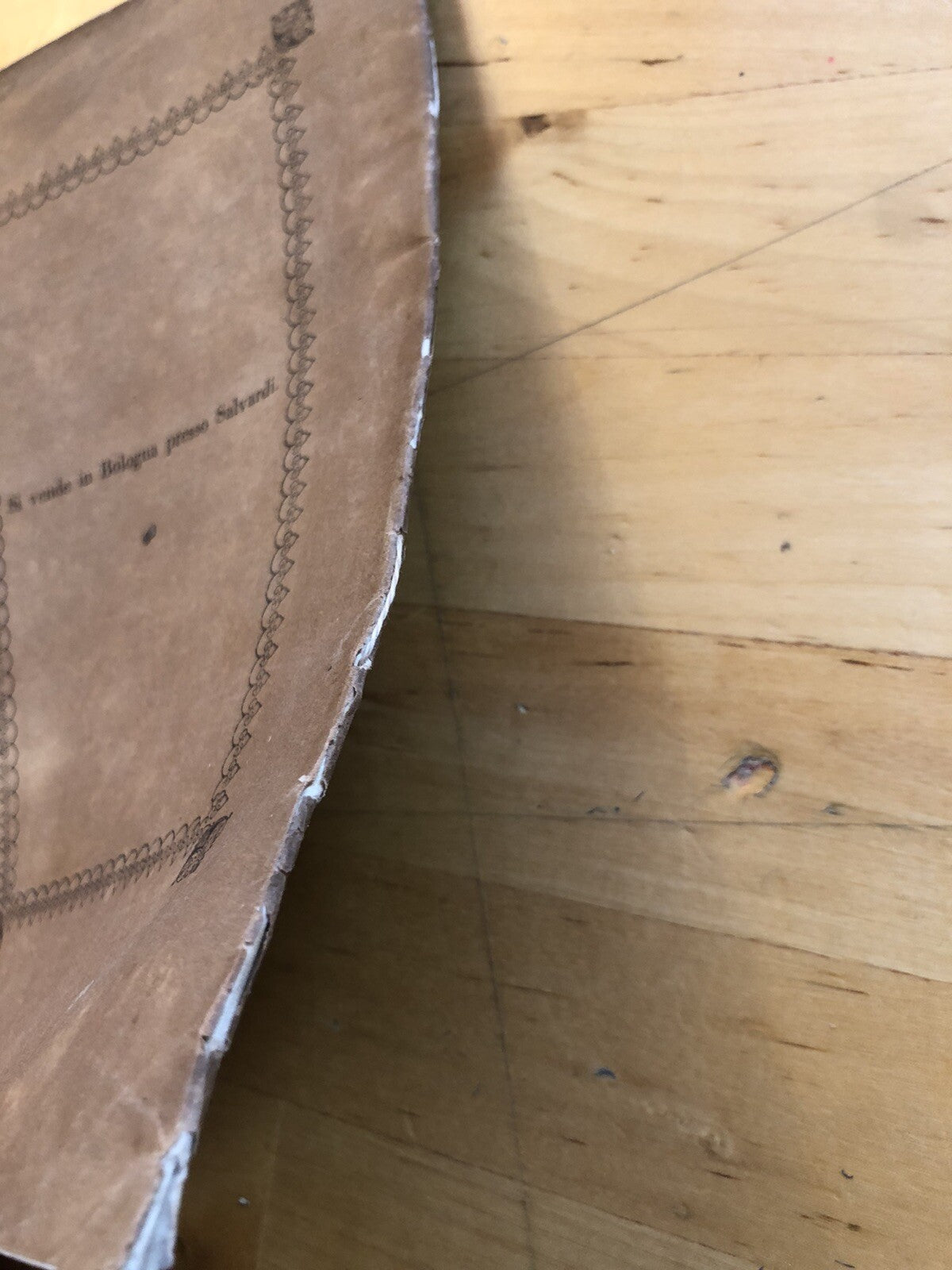 Storia del Re Enzo con suo Cenotafio - Bologna 1843 Sassi e Amoretti