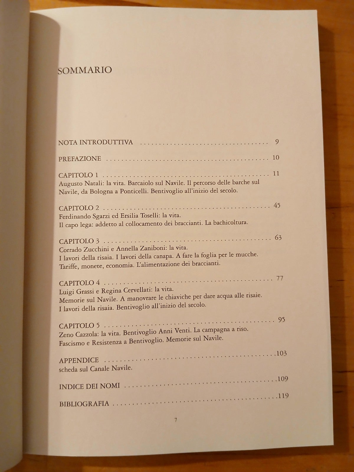 I braccianti navigatori del Navile, Enzo Pancaldi - Generali, L'artiere ed. 2001