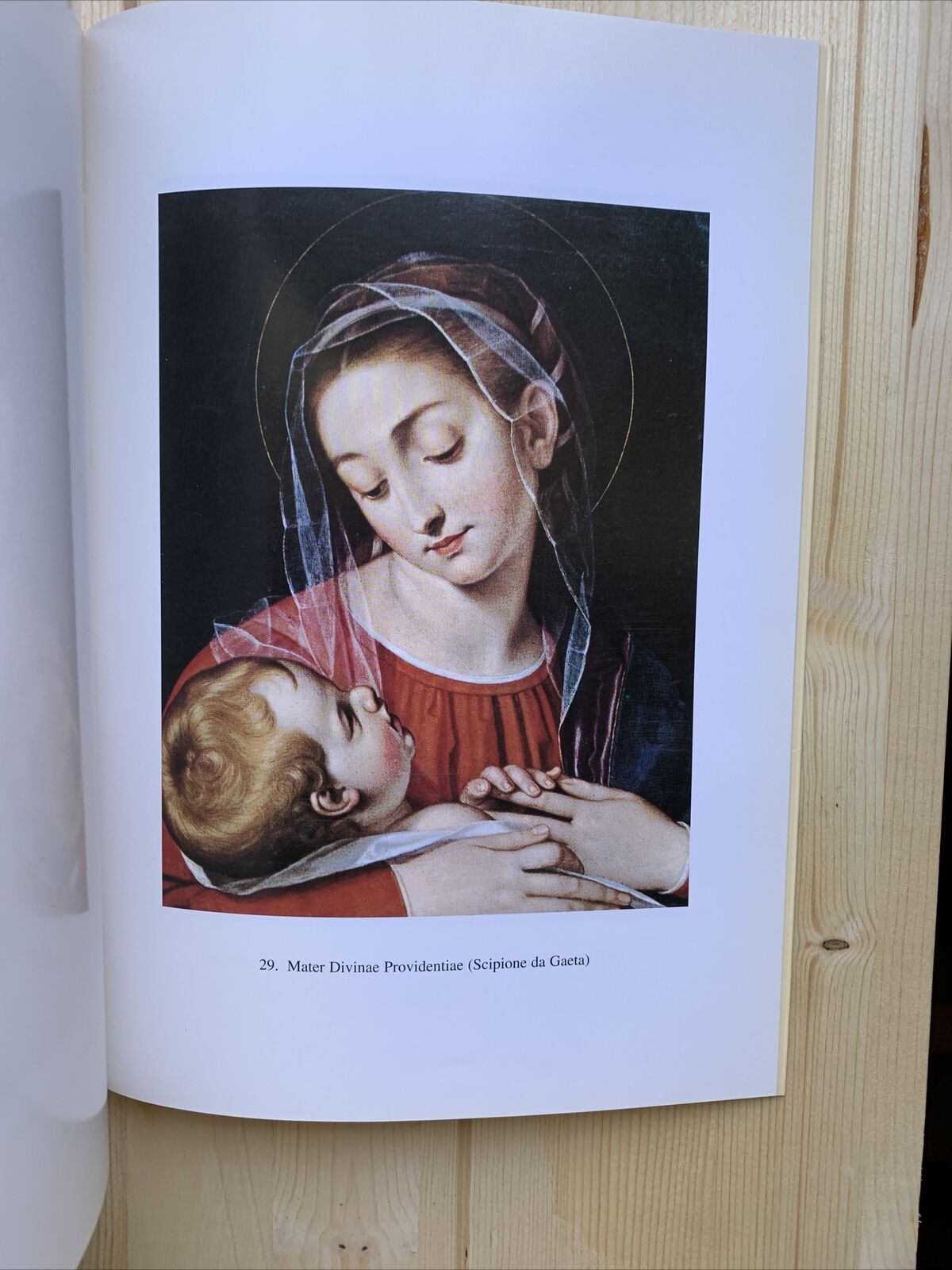 LibroBASILICA SAN PAOLO MAGGIORE congregazione Chierici Barnabiti. Bologna 1999#