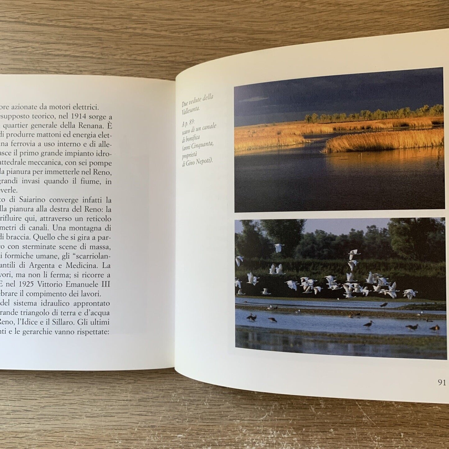 Il Romanzo del Reno - Maurizio Garuti. Pendragon 2004