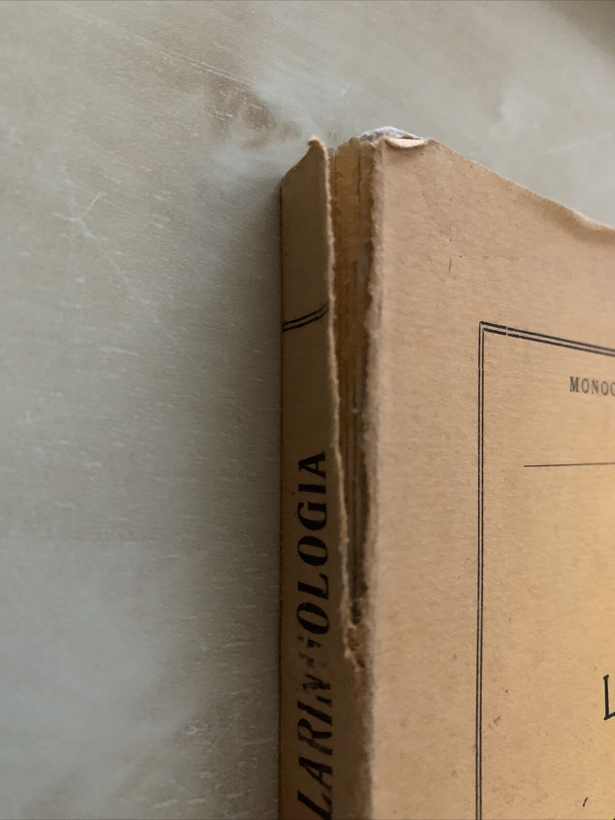 LA RADIOLOGIA IN OTORINO LARINGOLOGIA. G. LASCHI, VIGI. CAPPELLI 1931 #