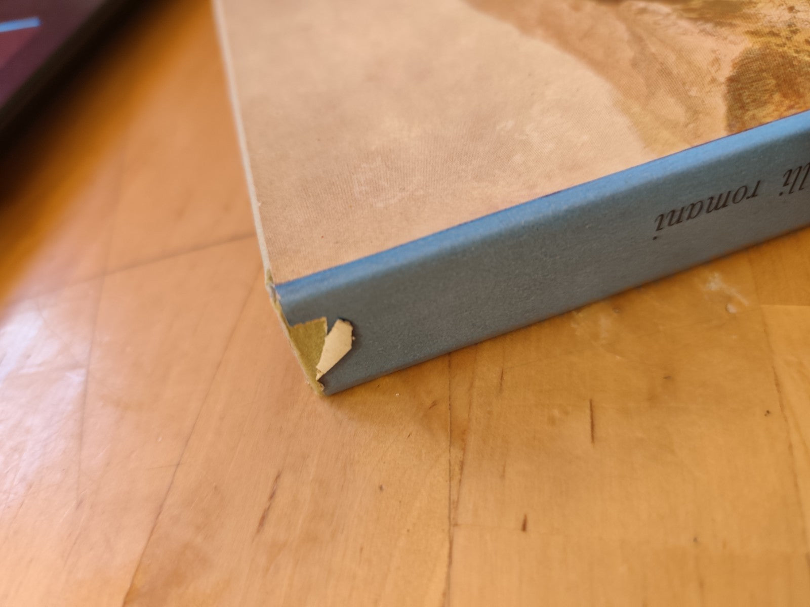 Castelli Romani ed altre passeggiate romane, Luigi Bartolini, Cappelli 1955