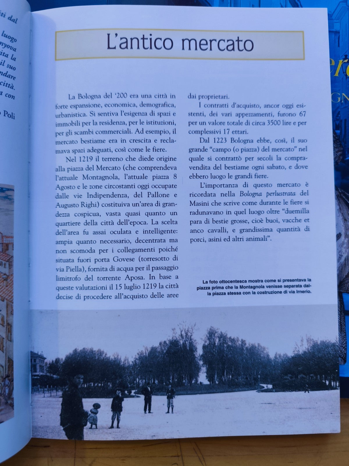 La statua di San Petronio, Il quadrilatero di Bologna, La Montagnola, Costa Poli