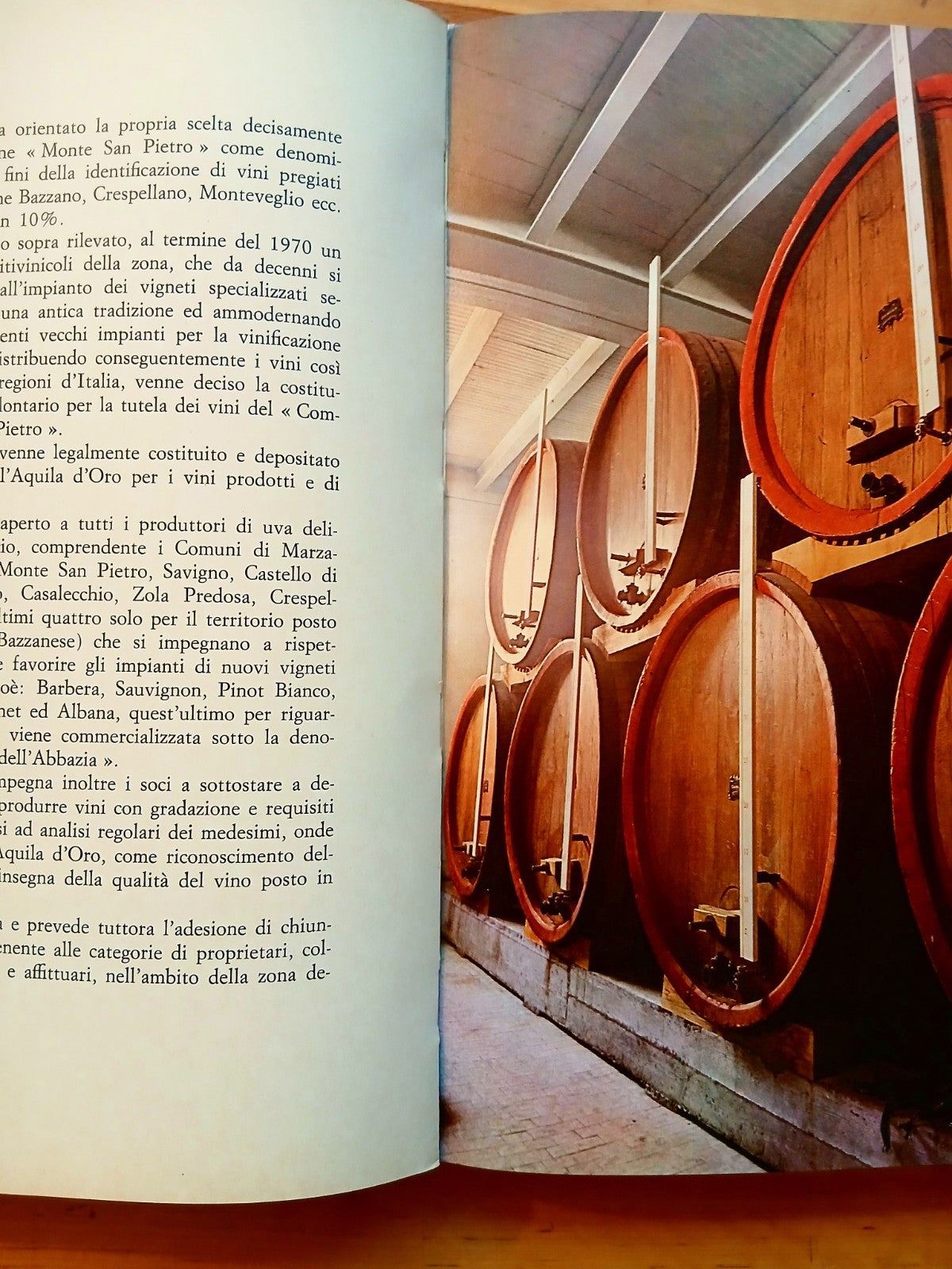 Monte San Pietro (Bologna) guida storica Enogastronomica agreste Colline occiden