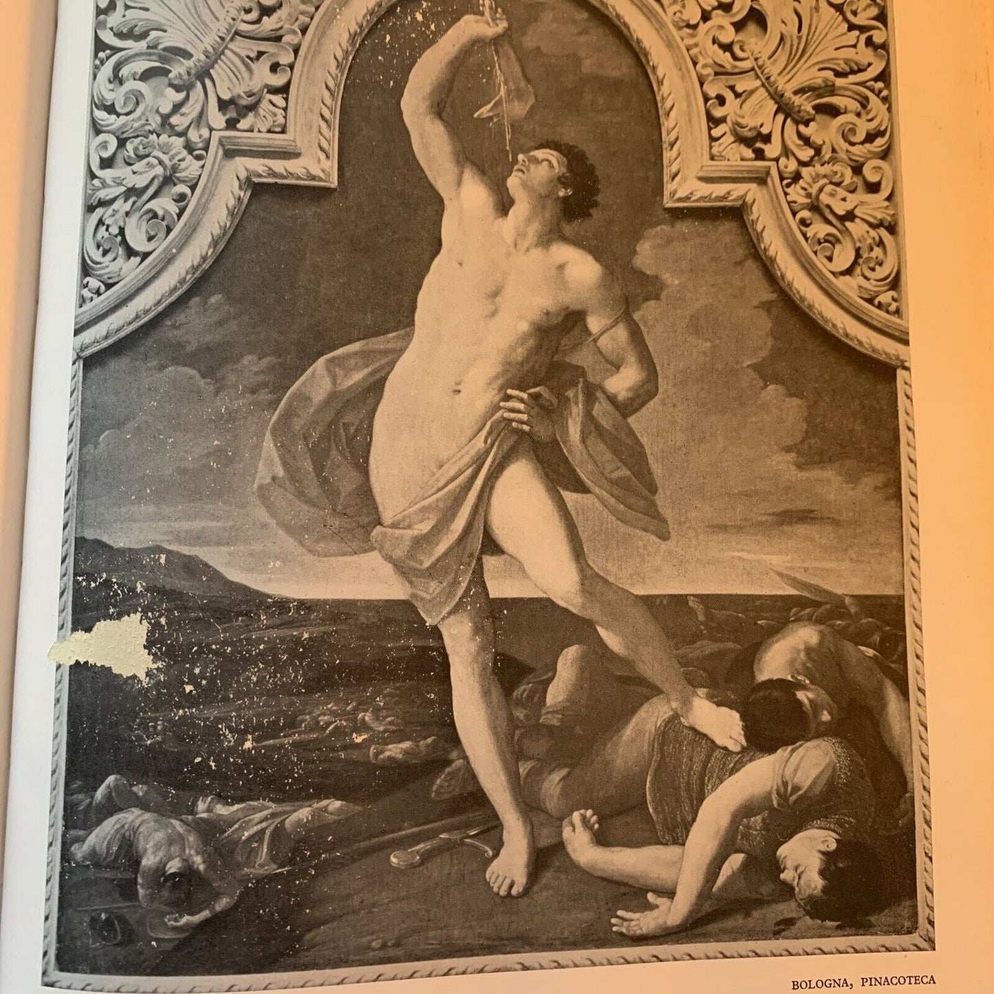 GUIDO RENI. Vallecchi editore. Cesare Gnudi 1955