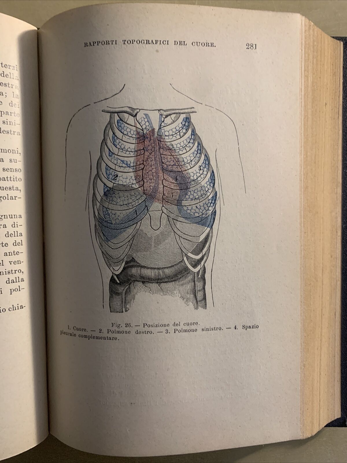 MANUALE DI CLINICA MEDICA PROPEDEUTICA (SEMEIOTICA) Adolfo Biondi, Vallardi 1903