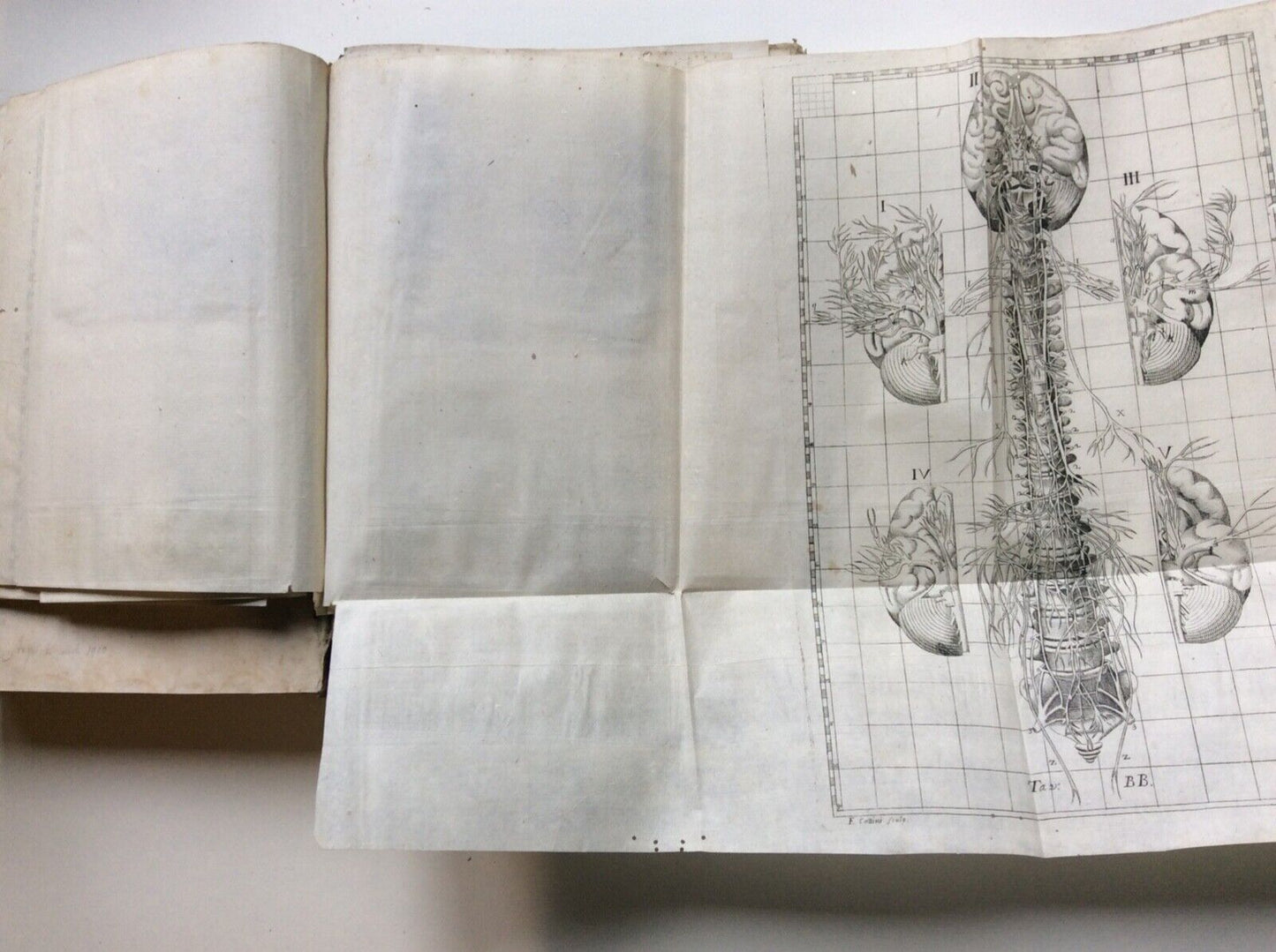 ESPOSIZIONE ANATOMICA DELLA STRUTTURA DEL CORPO UMANO, WINSLOW, 1767, 2 tomi