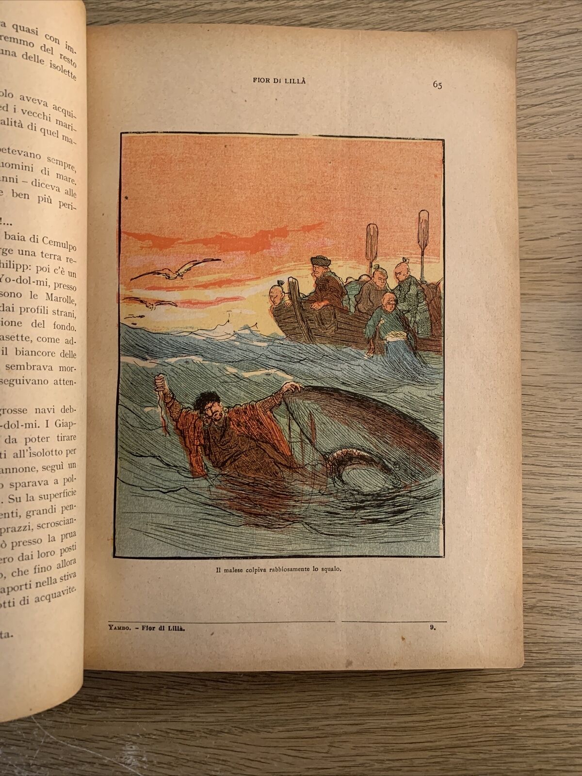 FIOR DI LILLA avventure. Disegni Yambo. G. Scotti editore 1905