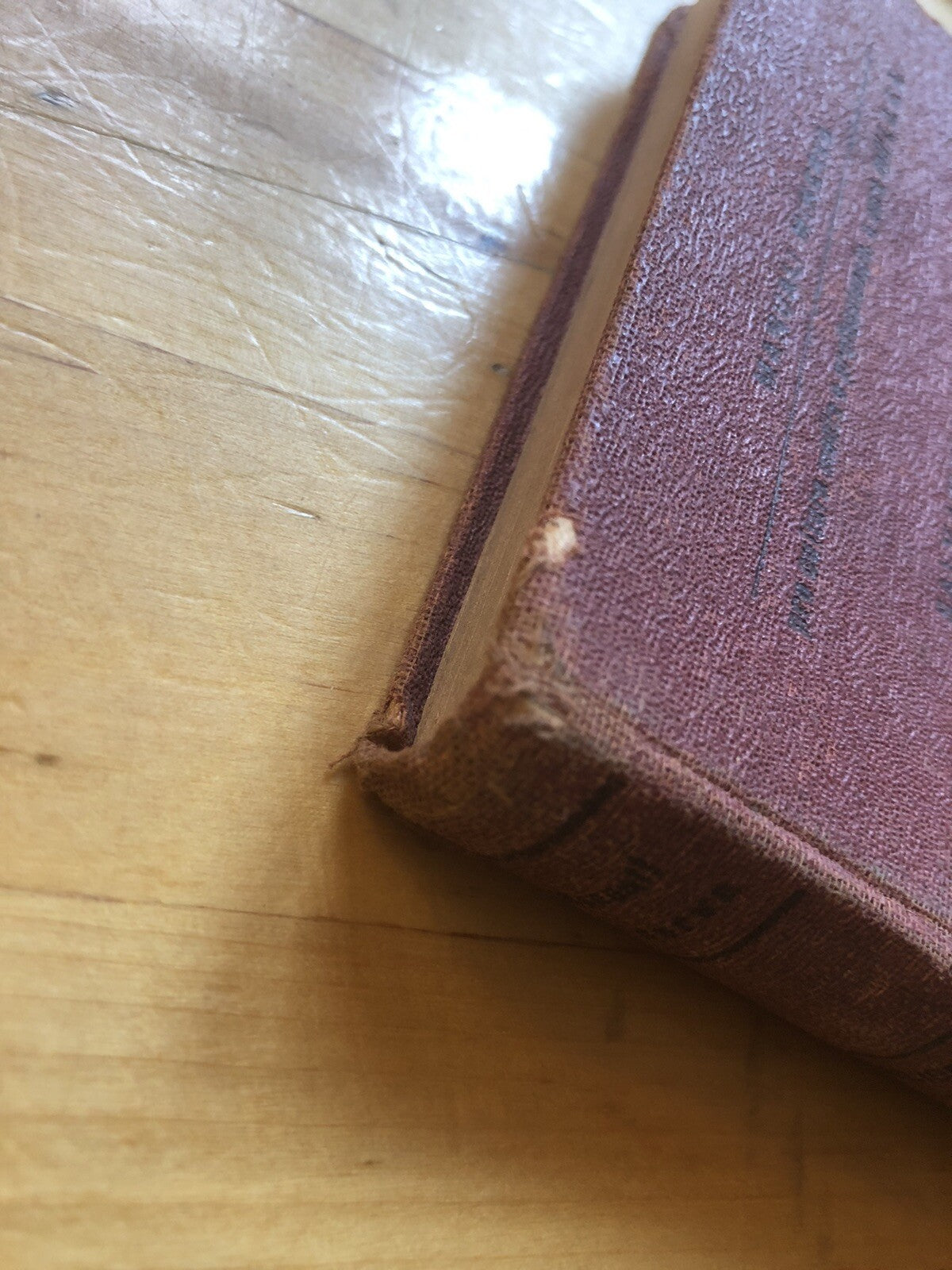 Compendio di economia politica e nozioni preliminari di diritto Paglionica, 1932