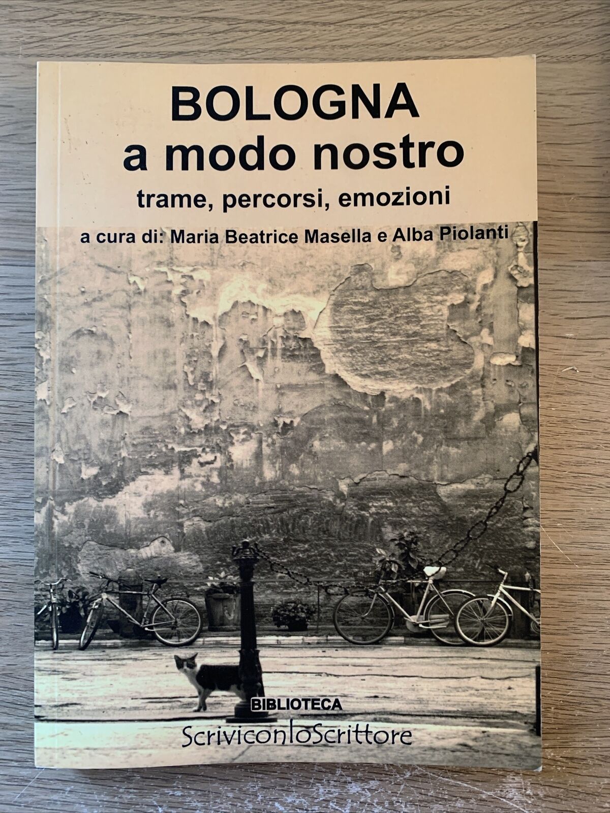 BOLOGNA a modo nostro. Trame percorsi emozioni. M. B. Masella, A. Piolanti